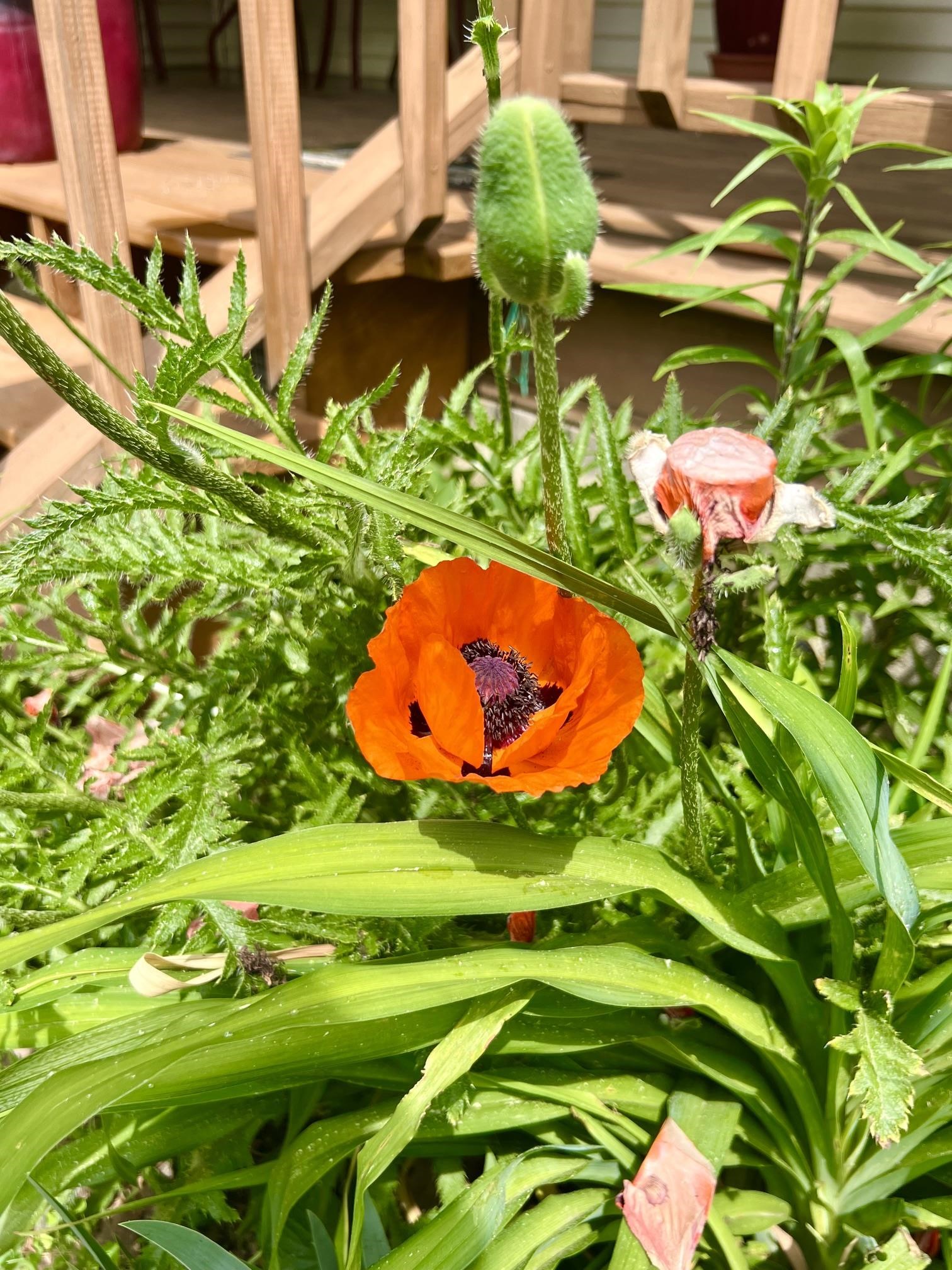main property photo 55
