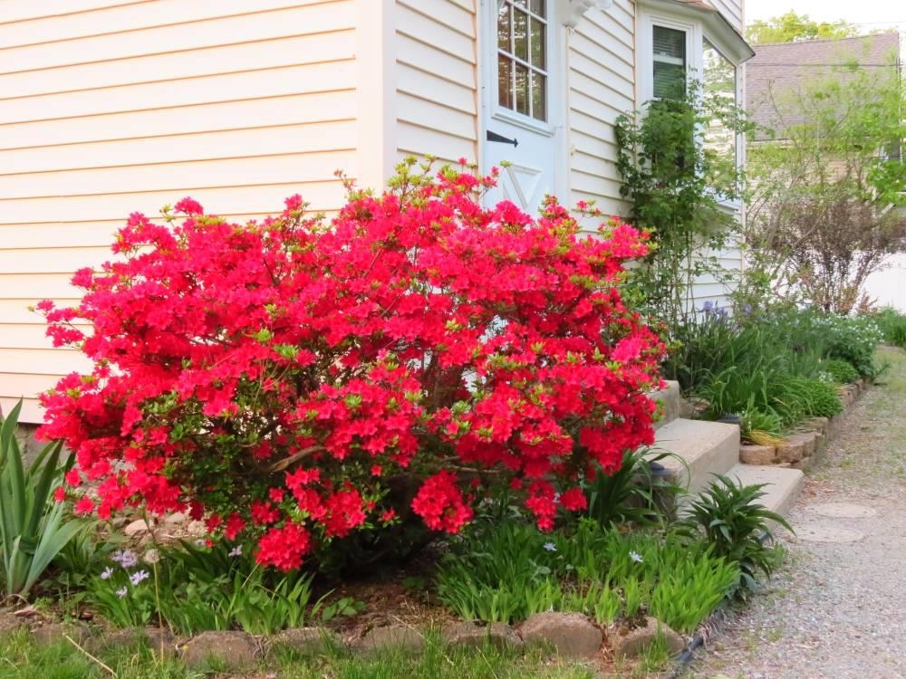 main property photo 59