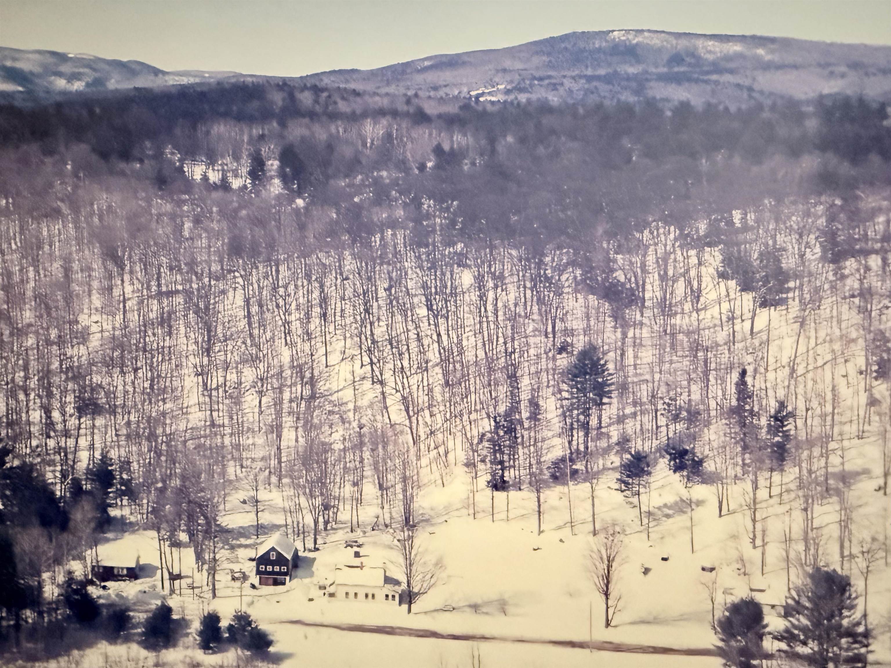 main property photo 53