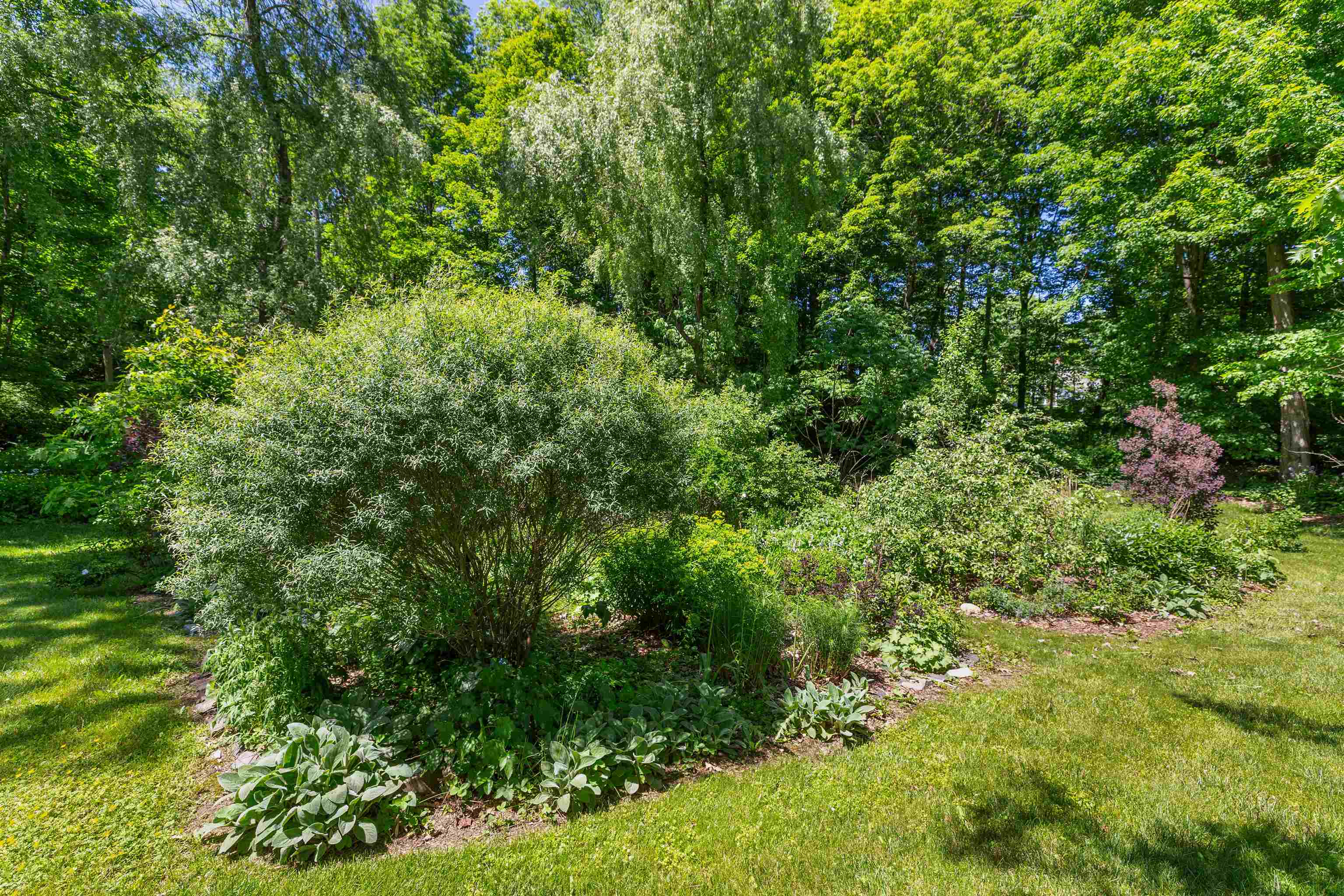 main property photo 58