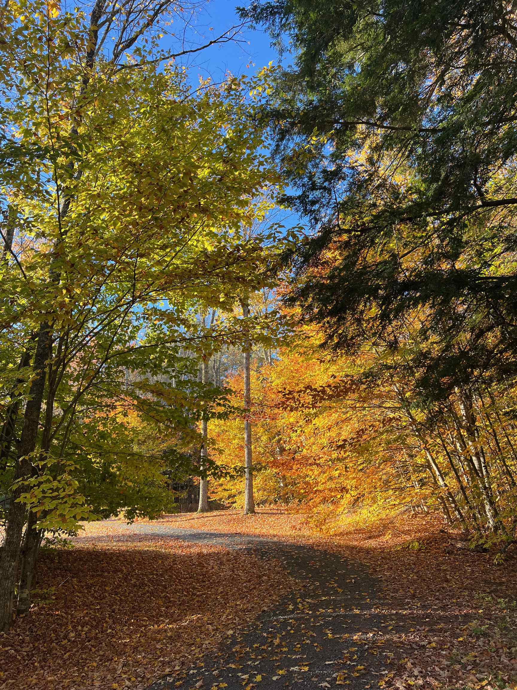 main property photo 44