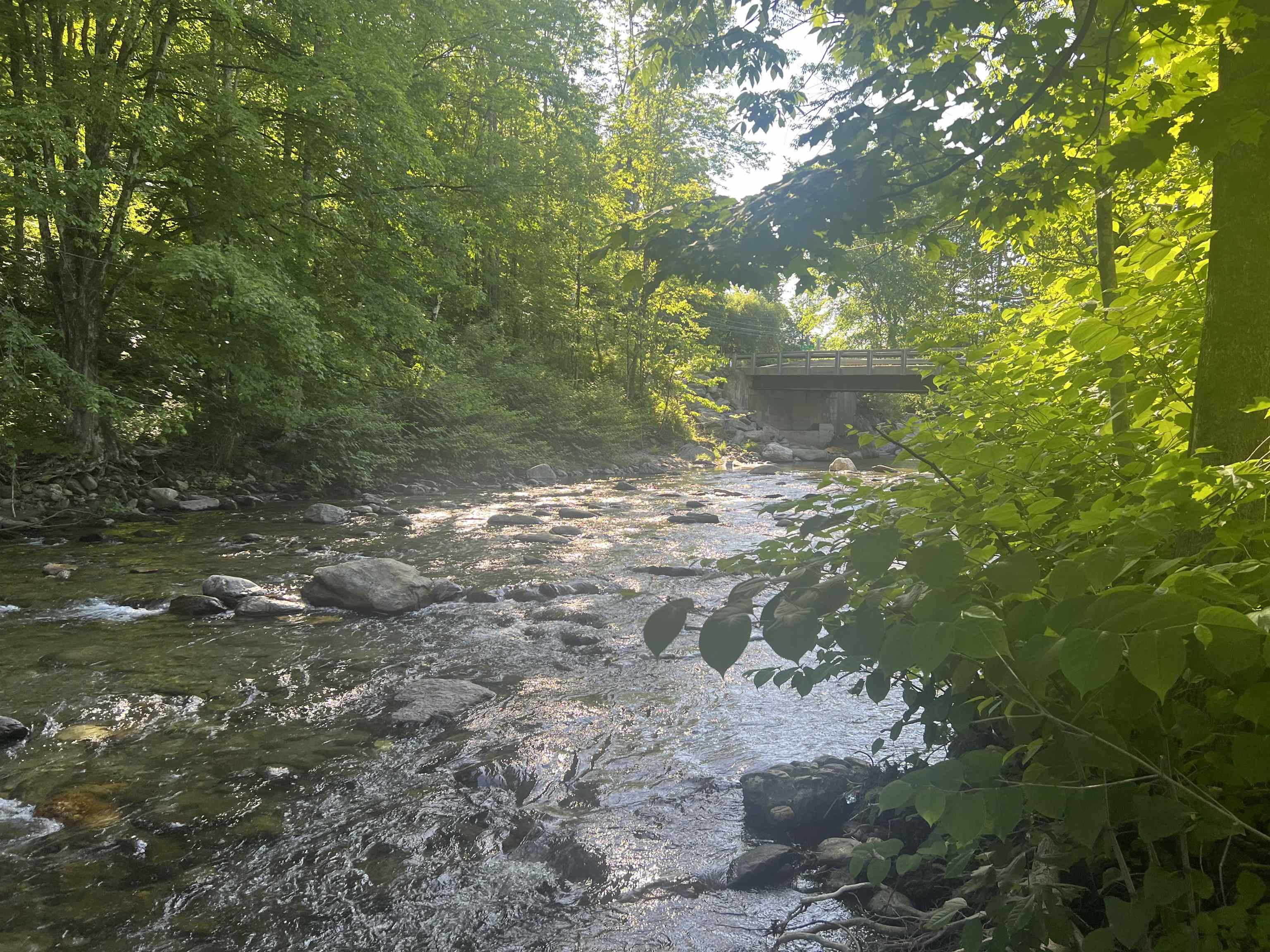 main property photo 13