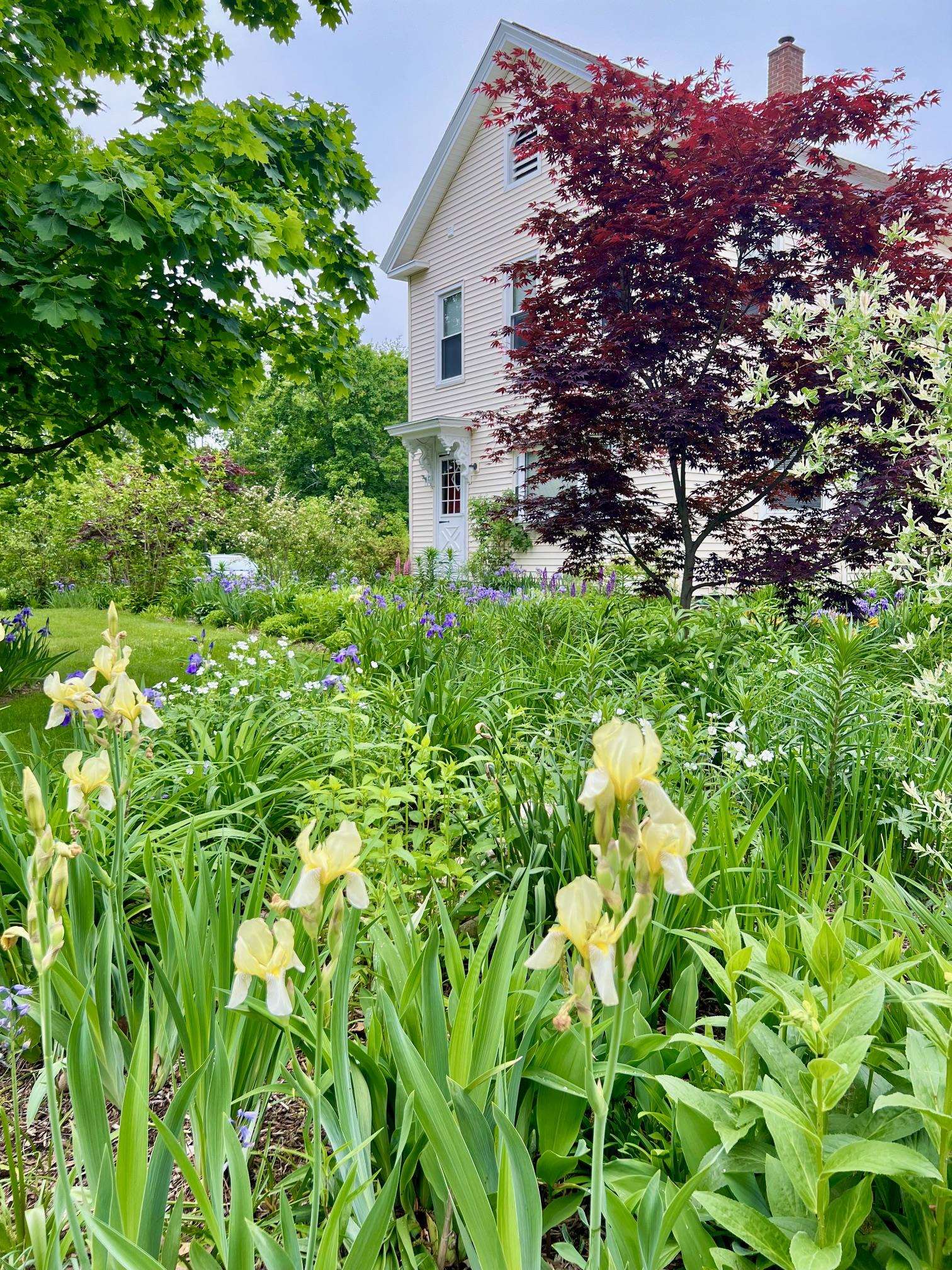 main property photo 56