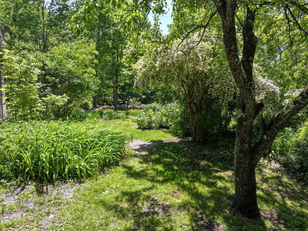 main property photo 59