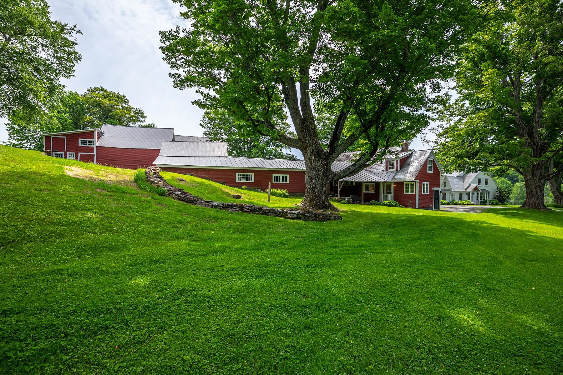 main property photo 15