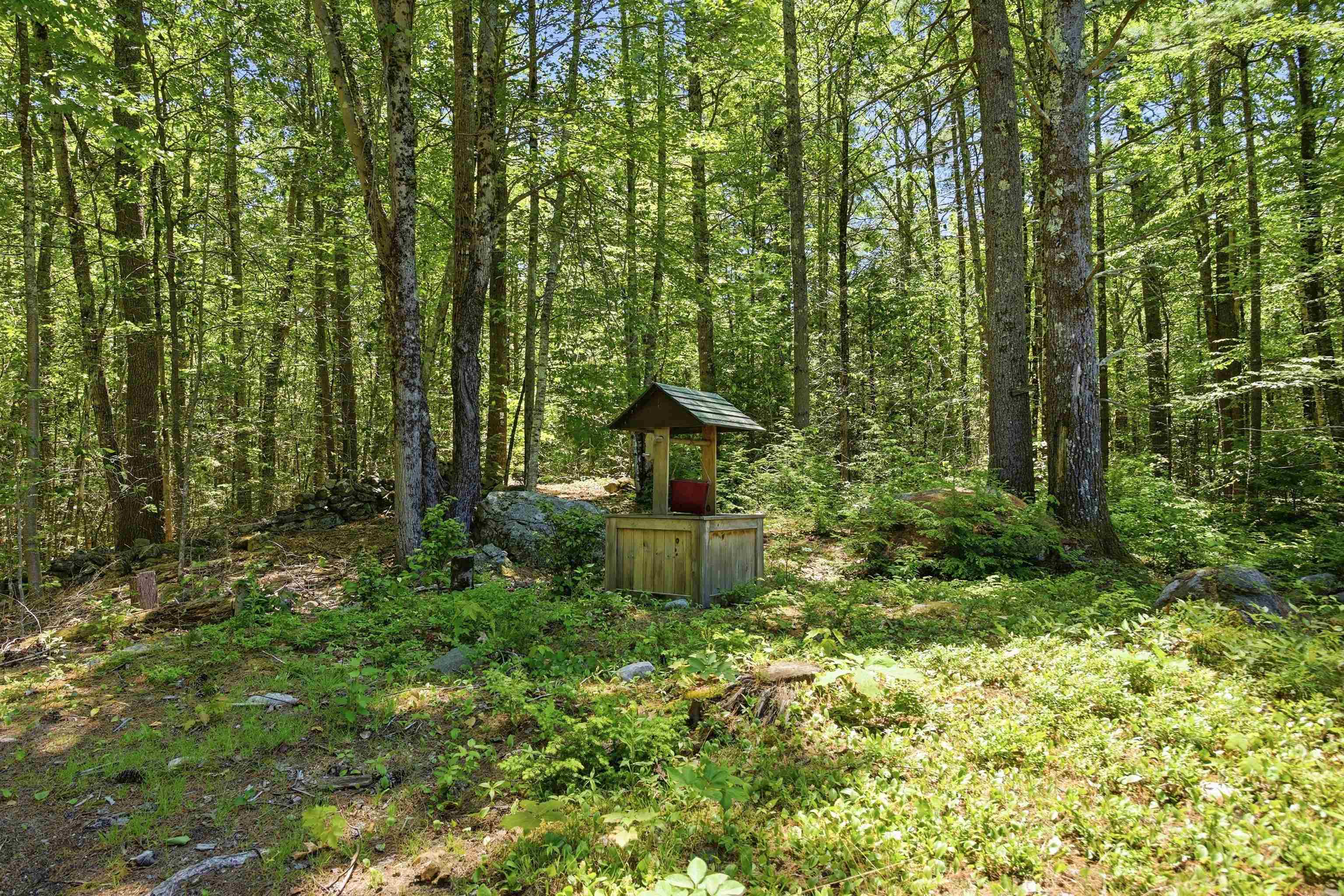 main property photo 58