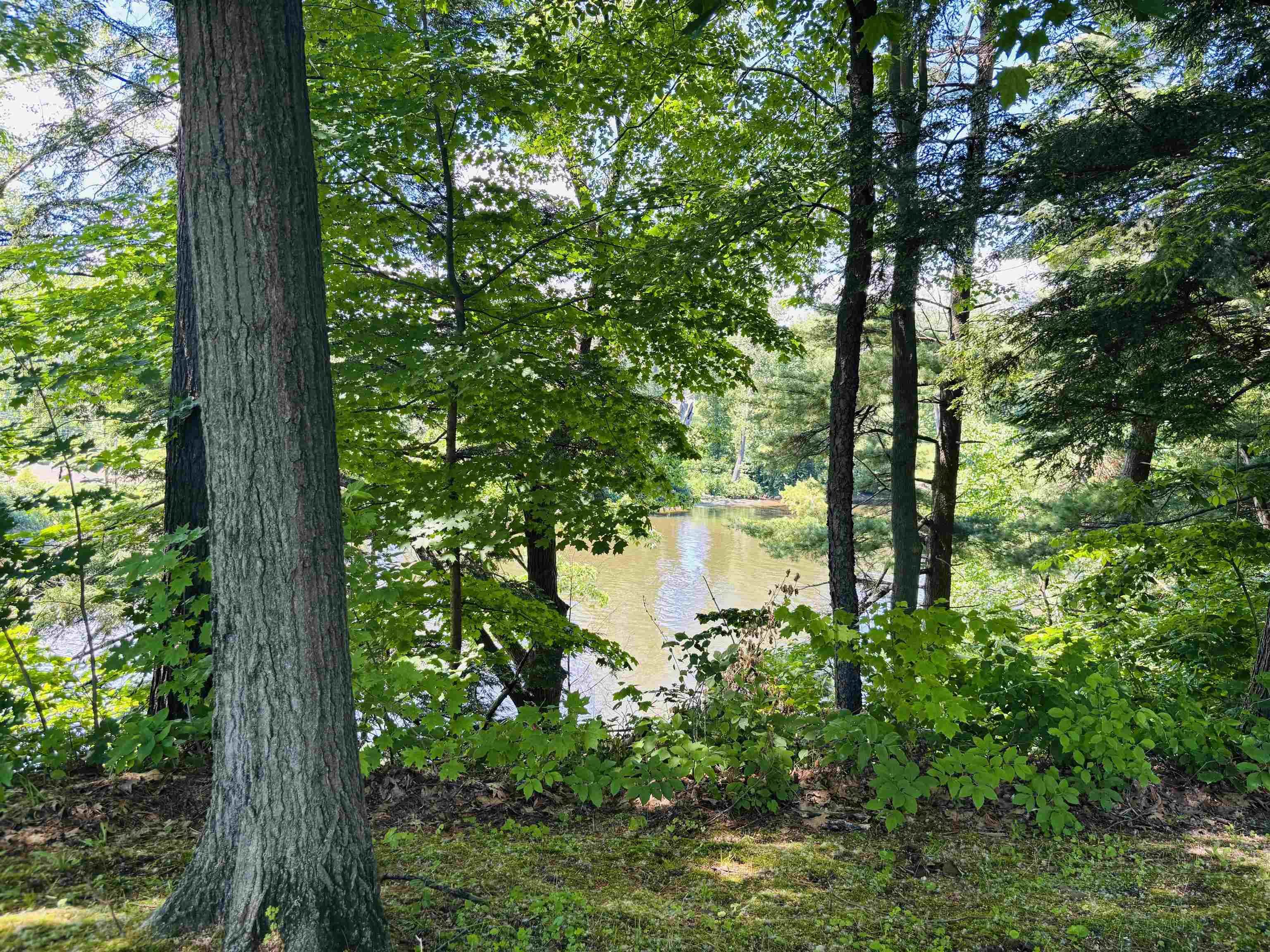 main property photo 51