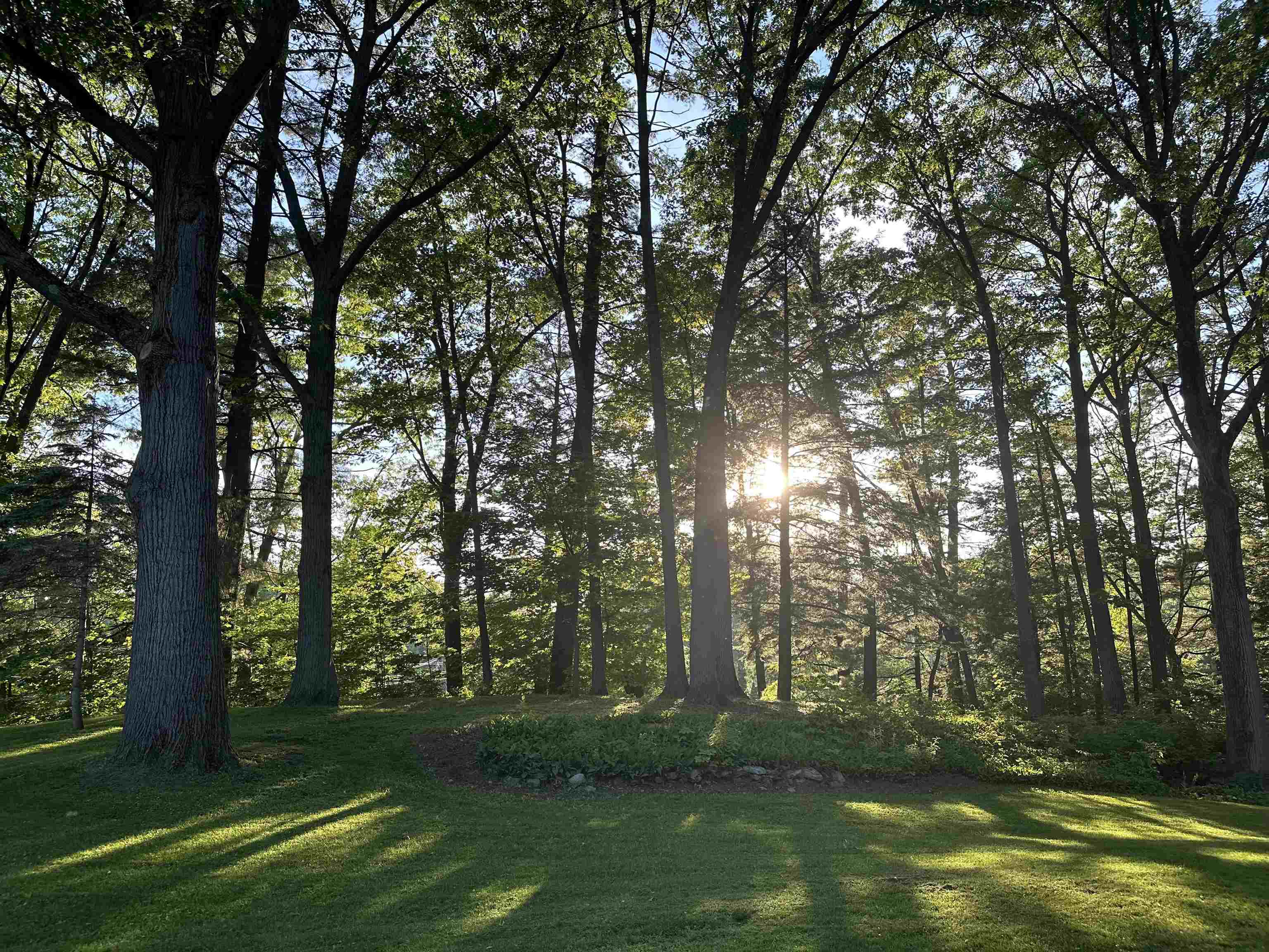 main property photo 53