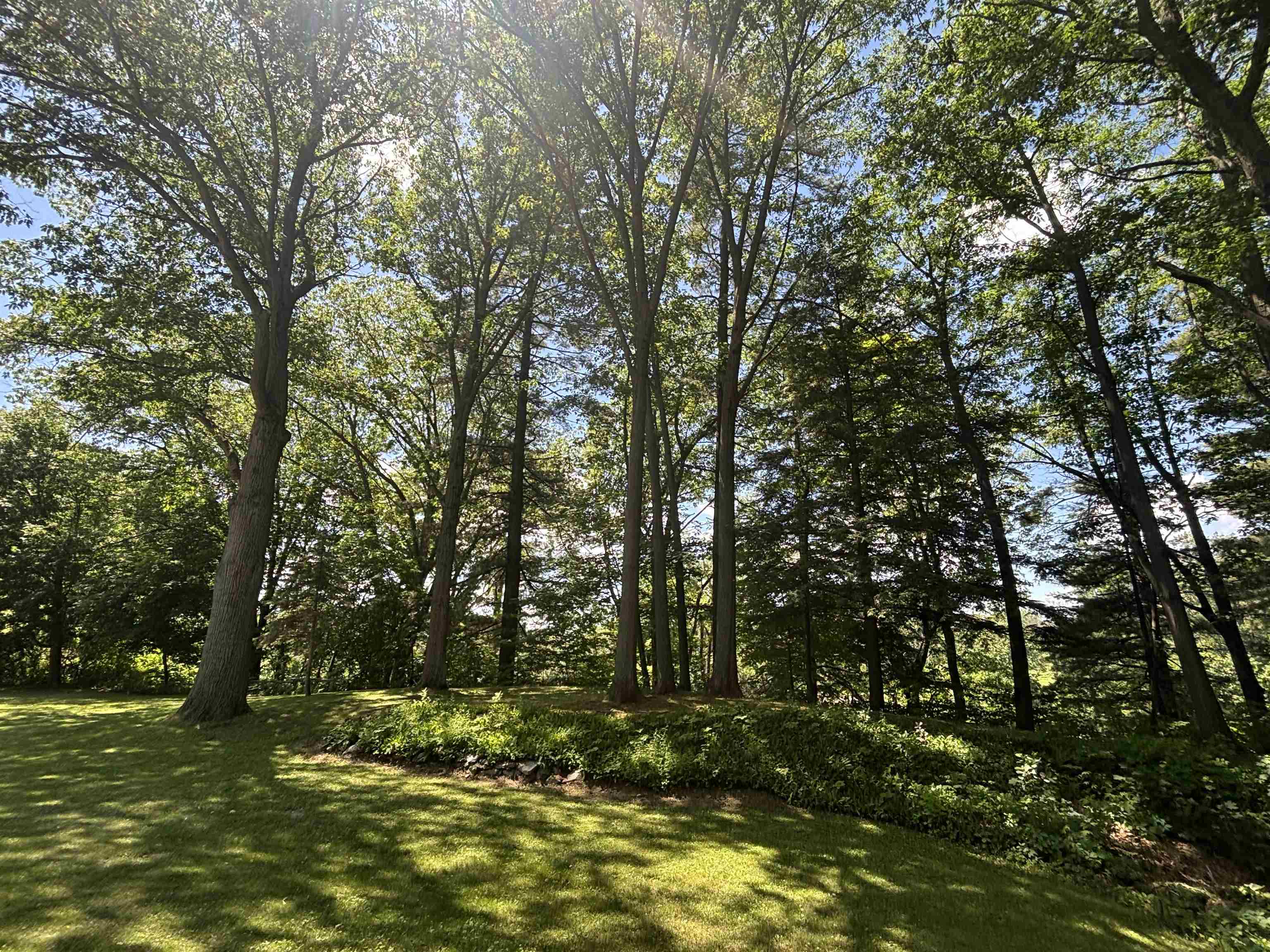 main property photo 55