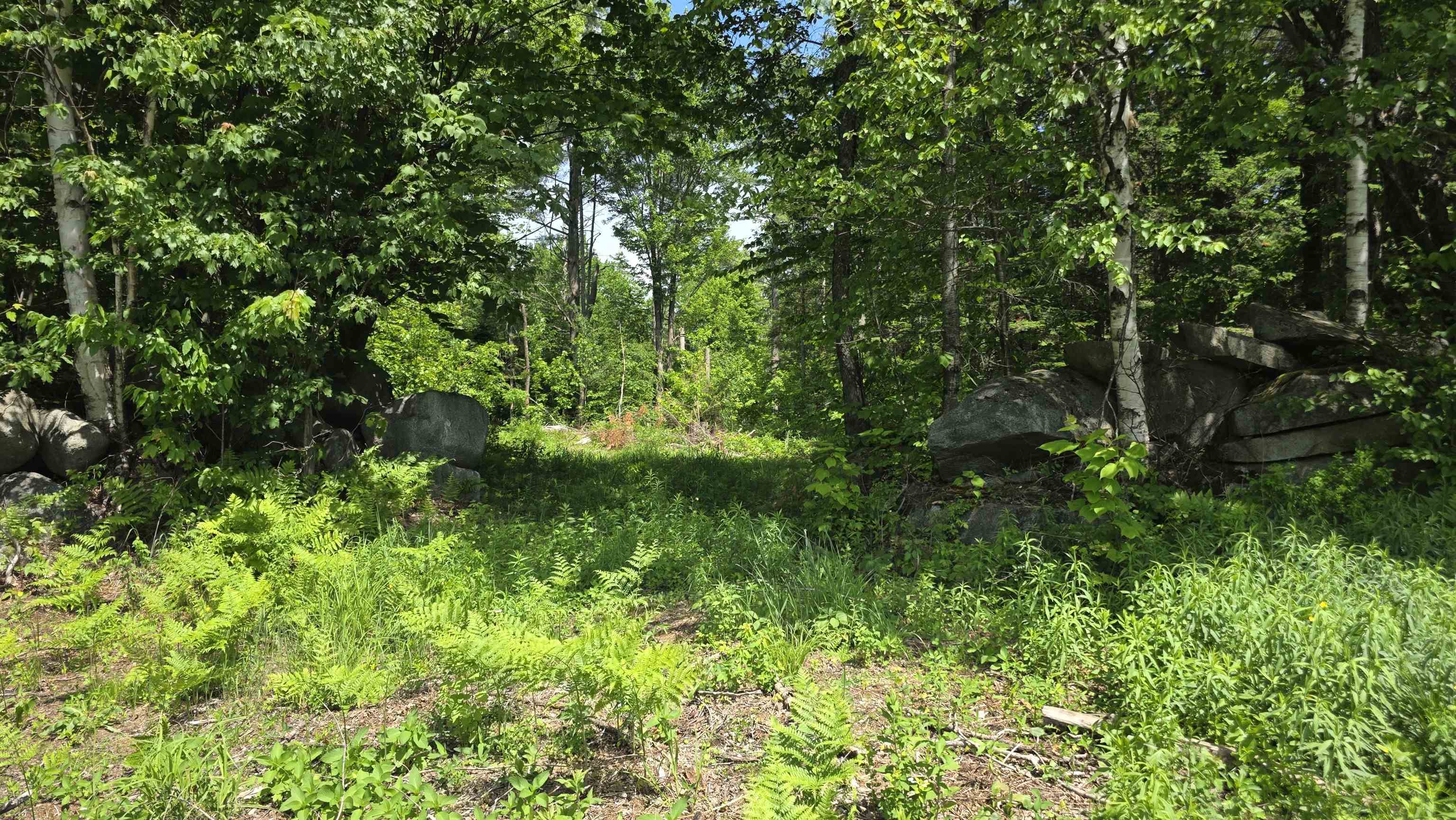 main property photo 50