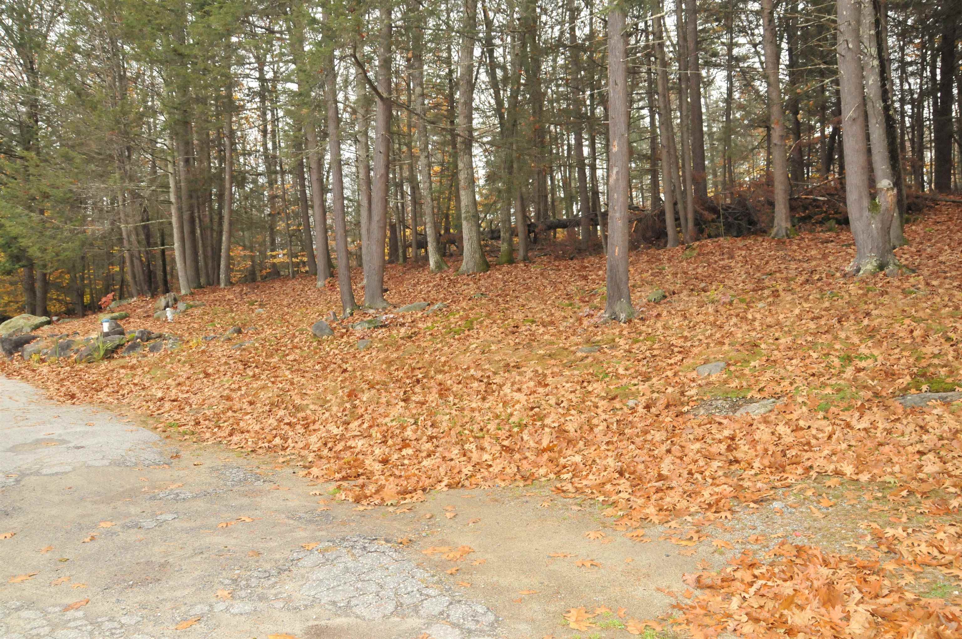 main property photo 25