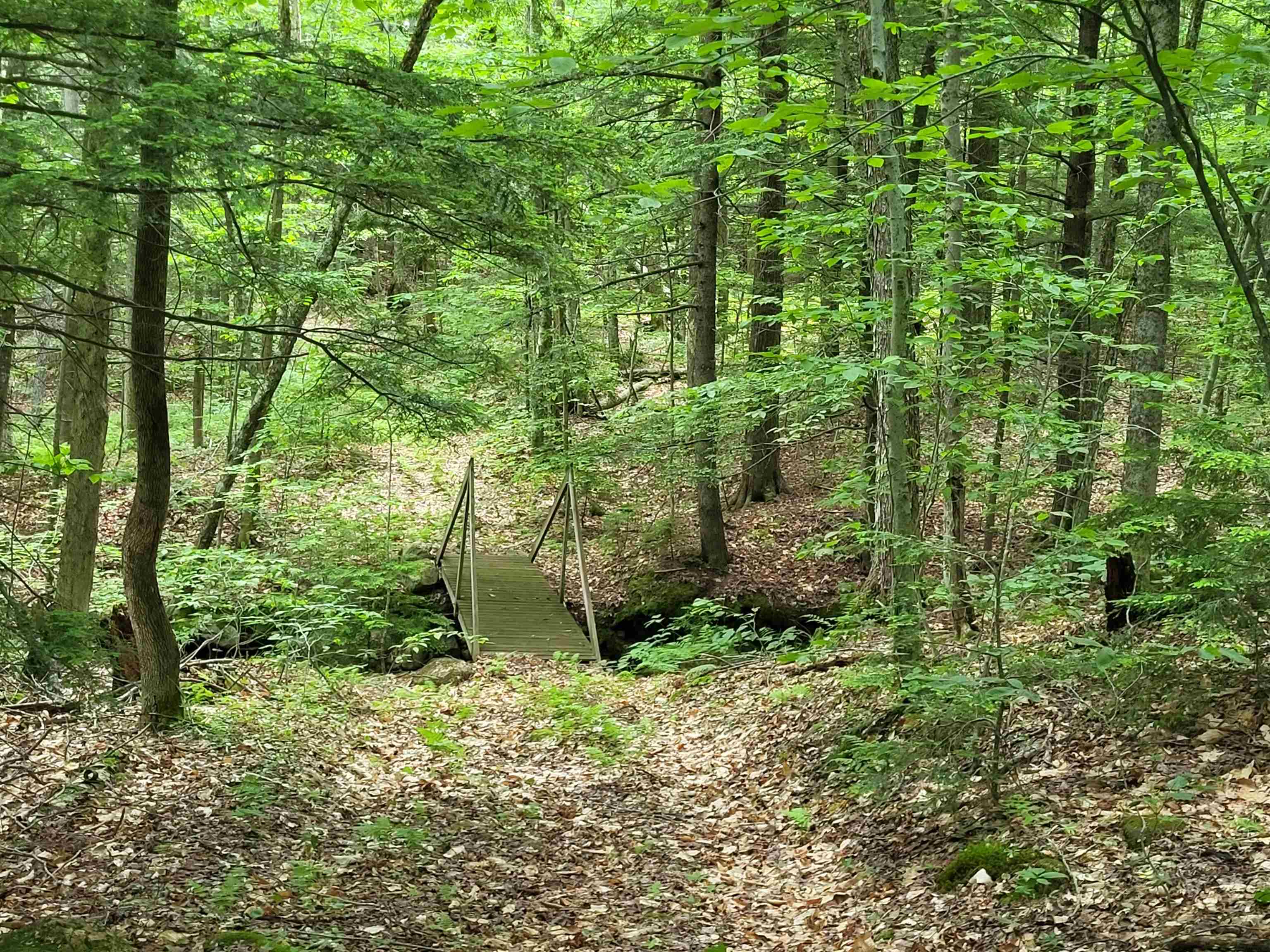 main property photo 52