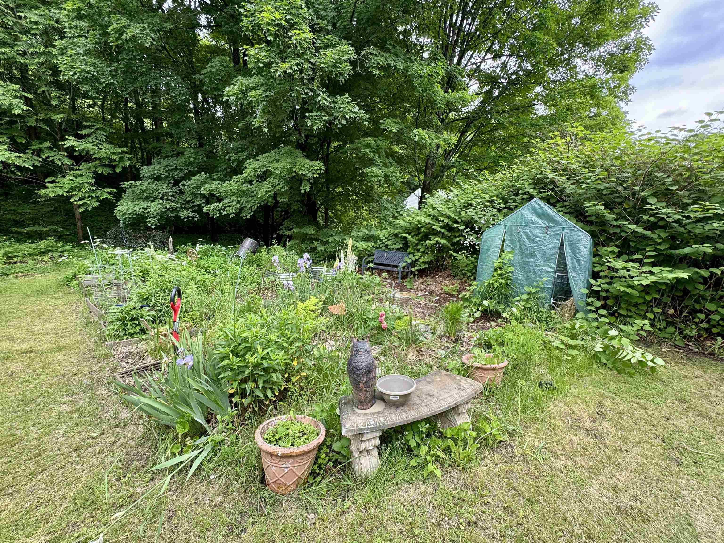 main property photo 40