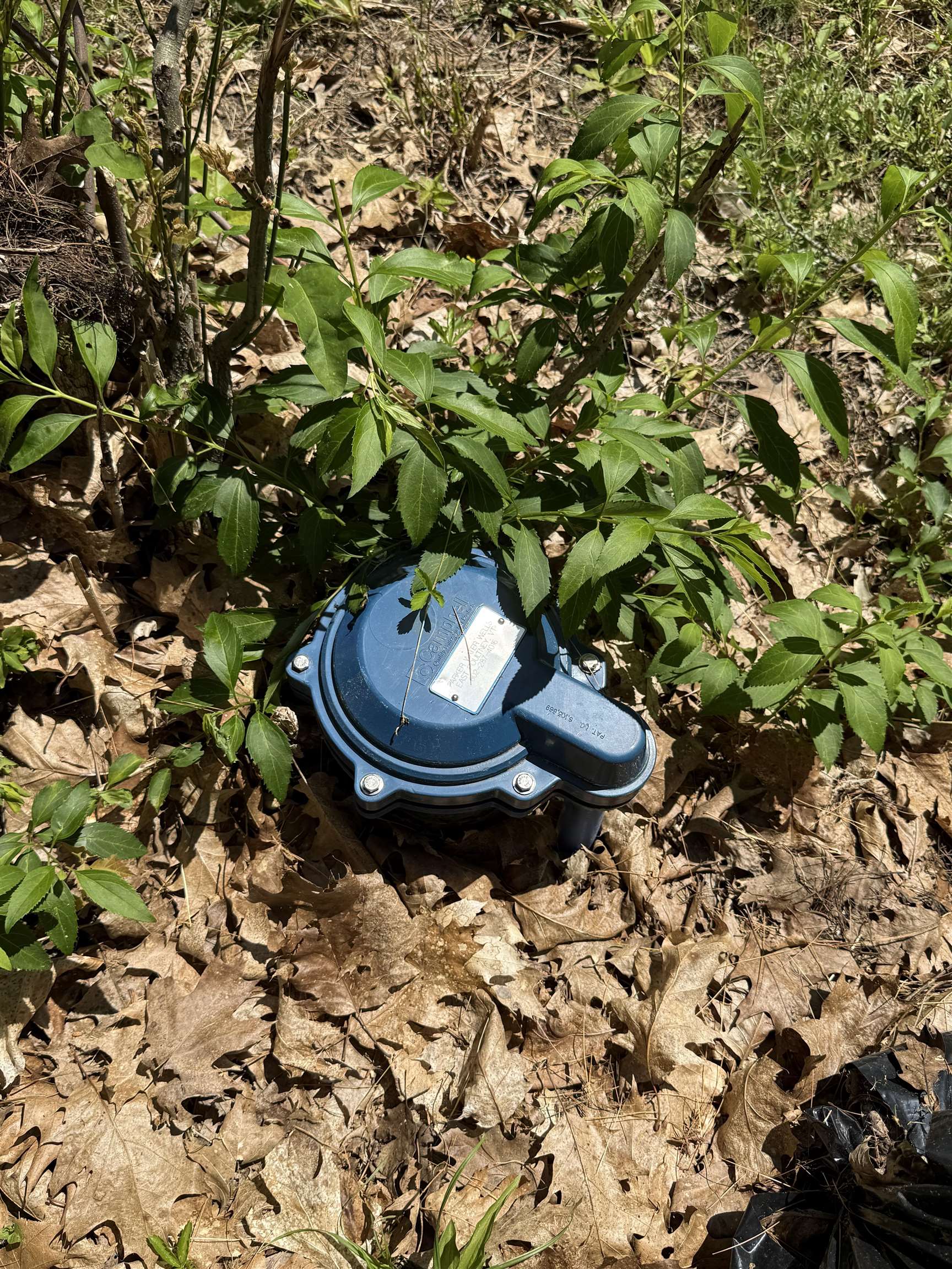 main property photo 14