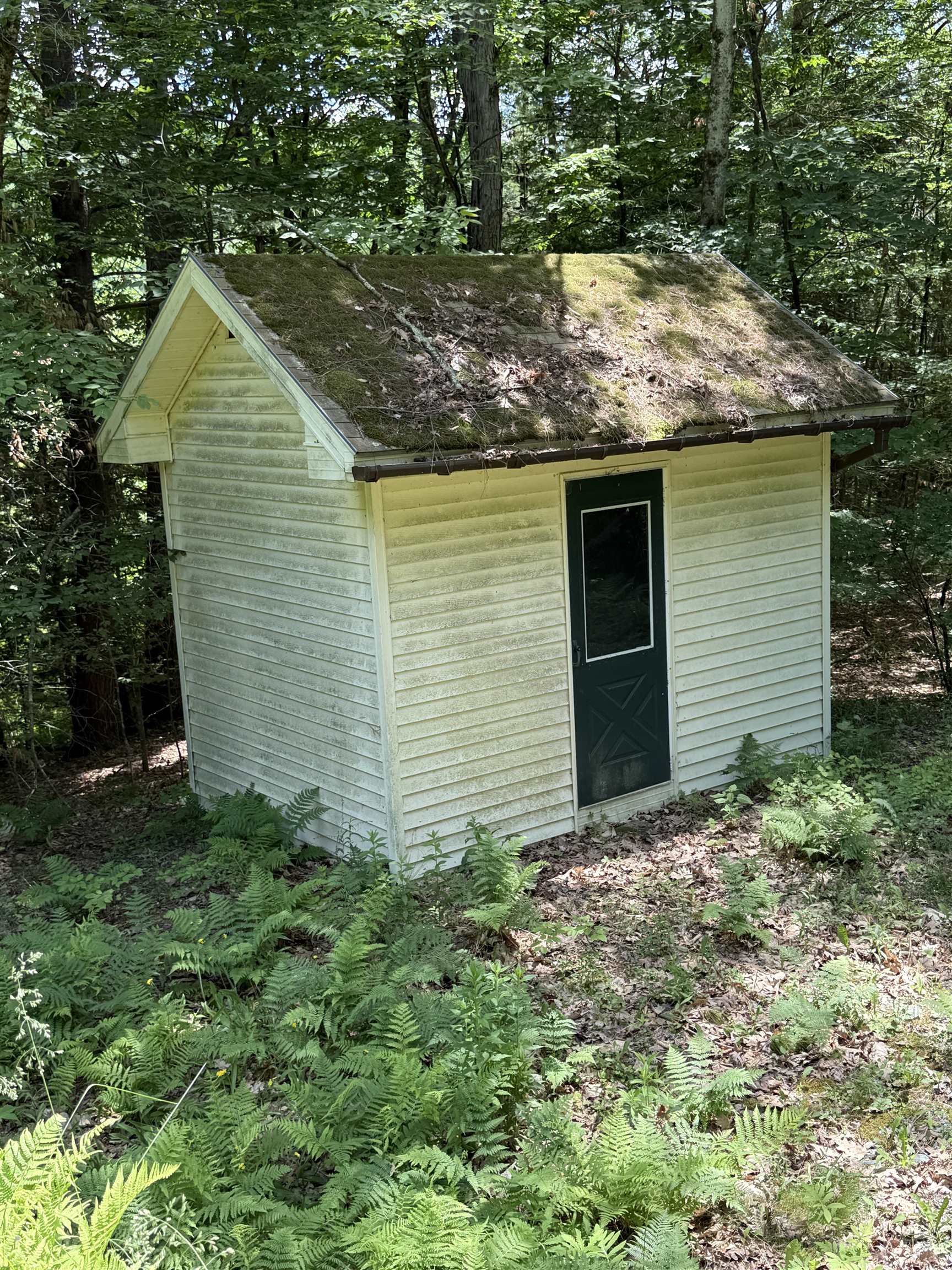 main property photo 44