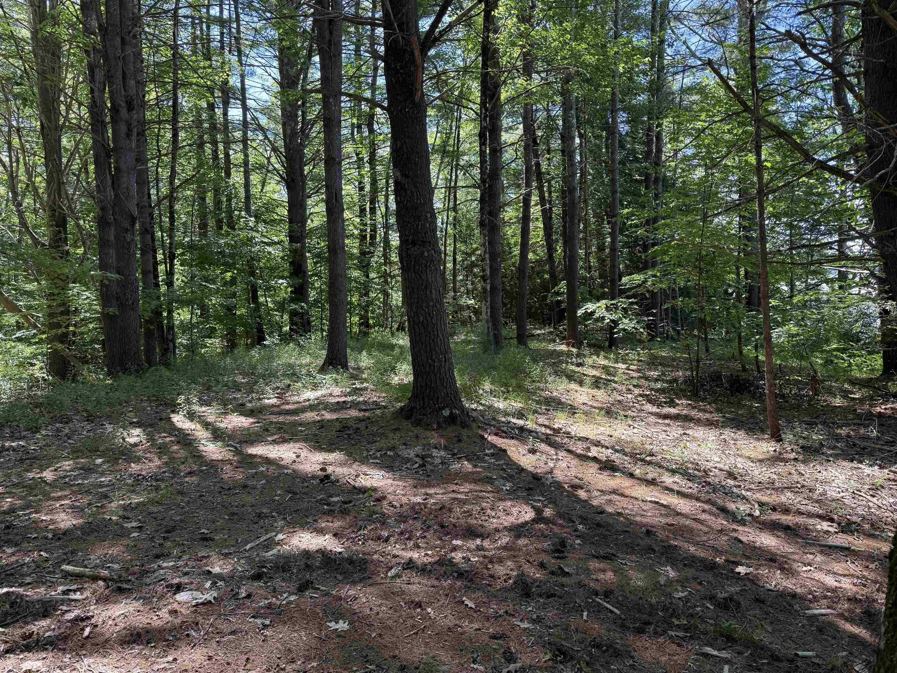 main property photo 45