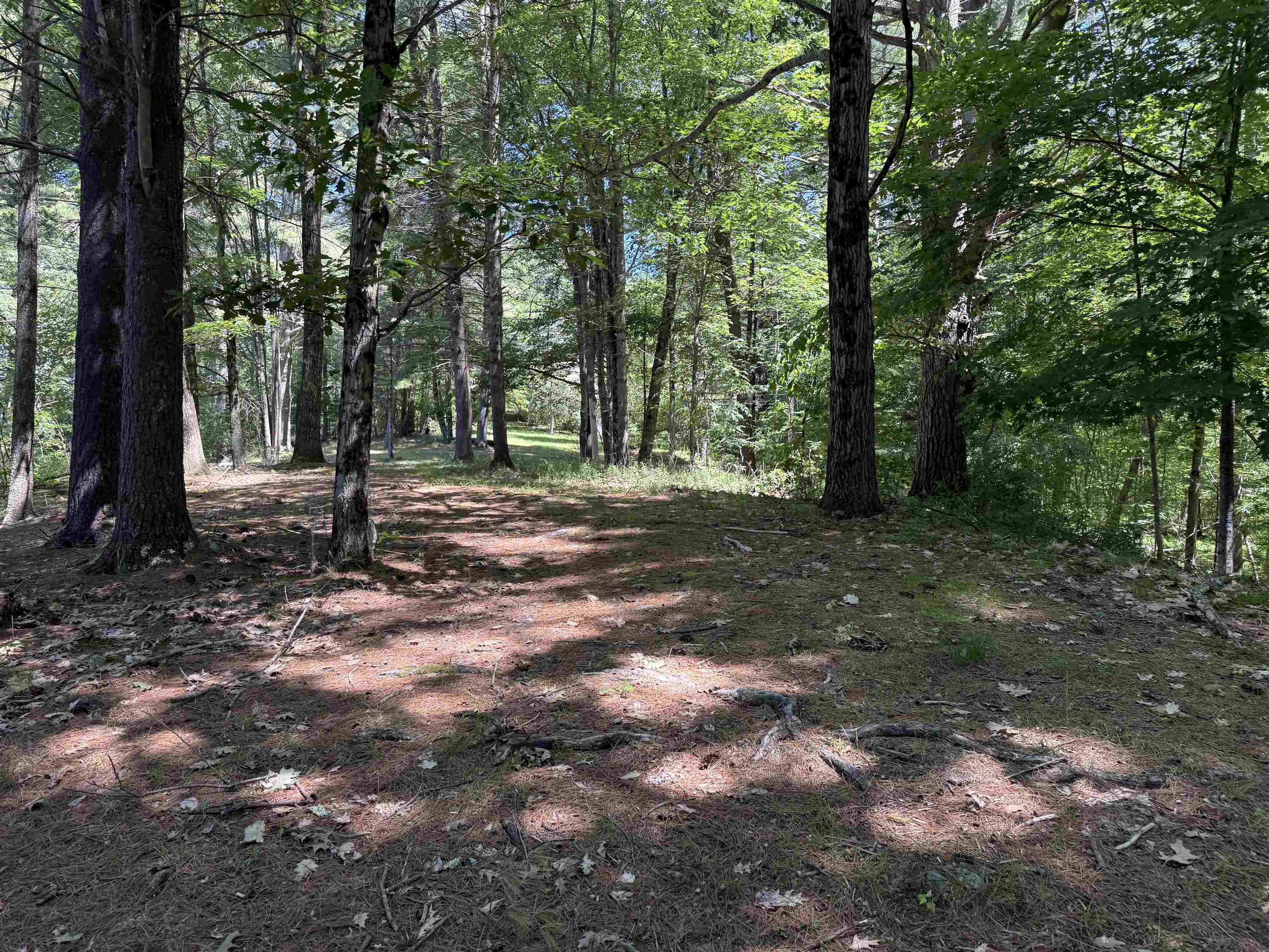 main property photo 46