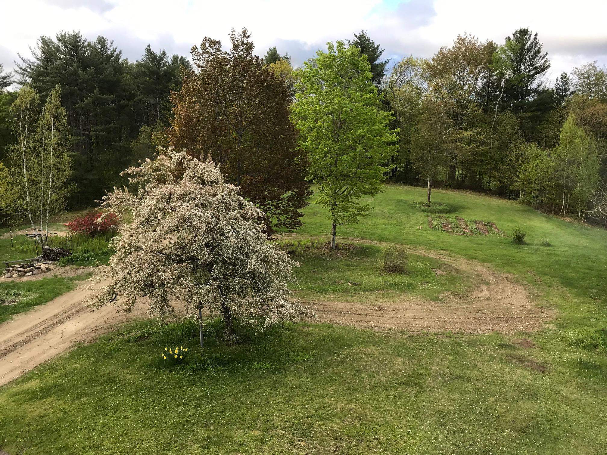main property photo 56