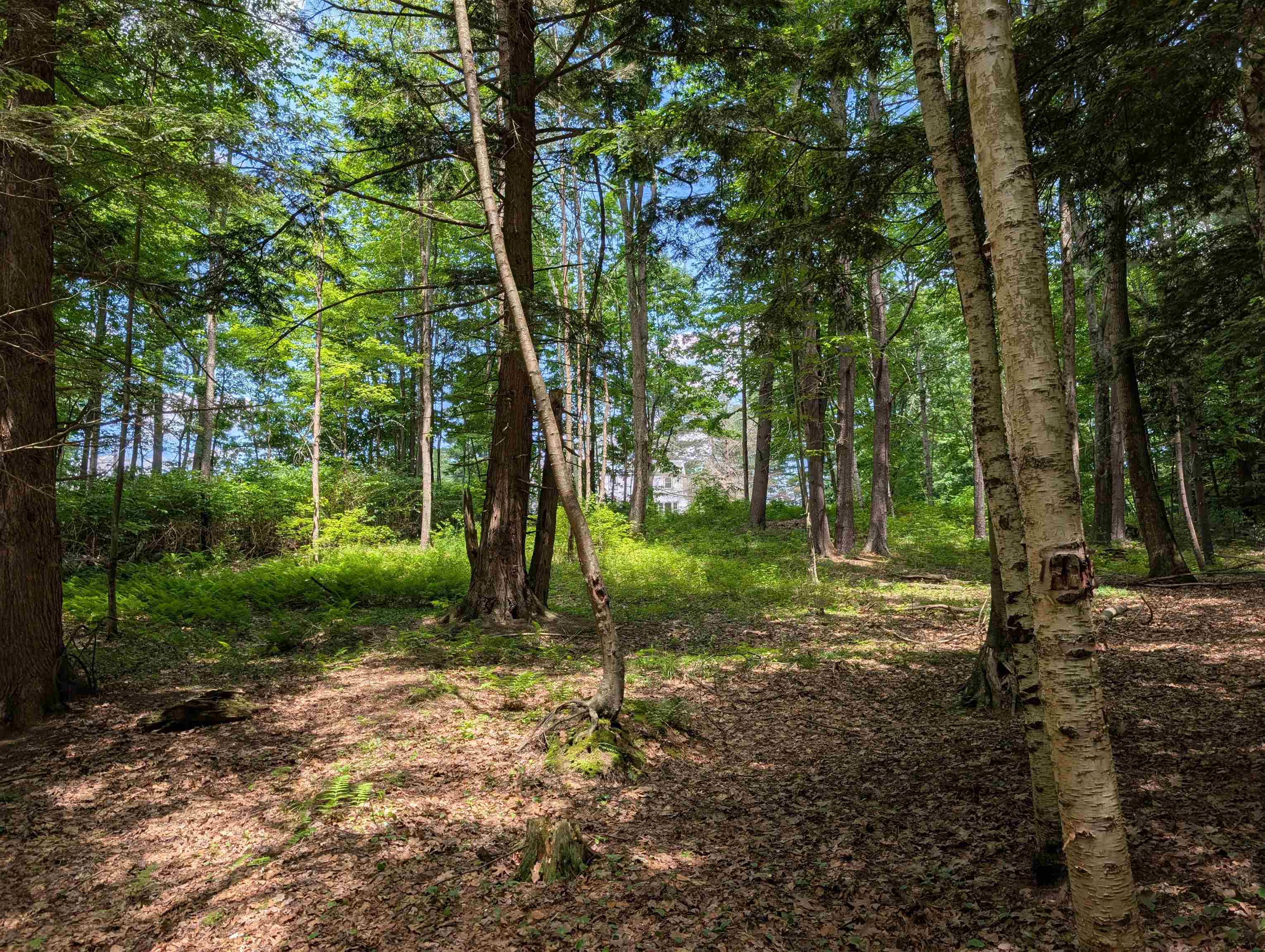 main property photo 39