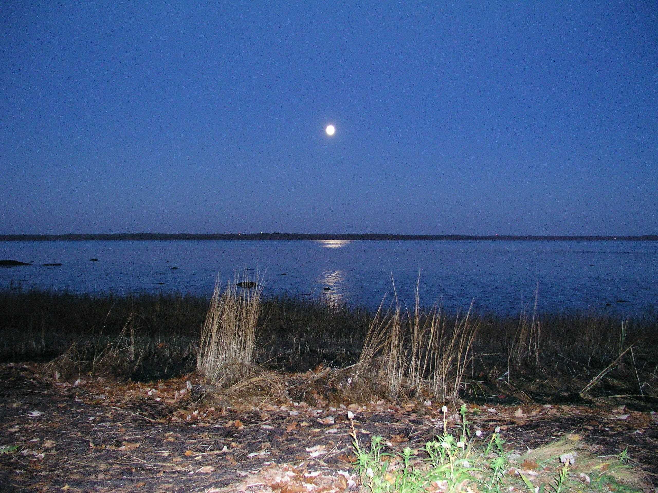 main property photo 56