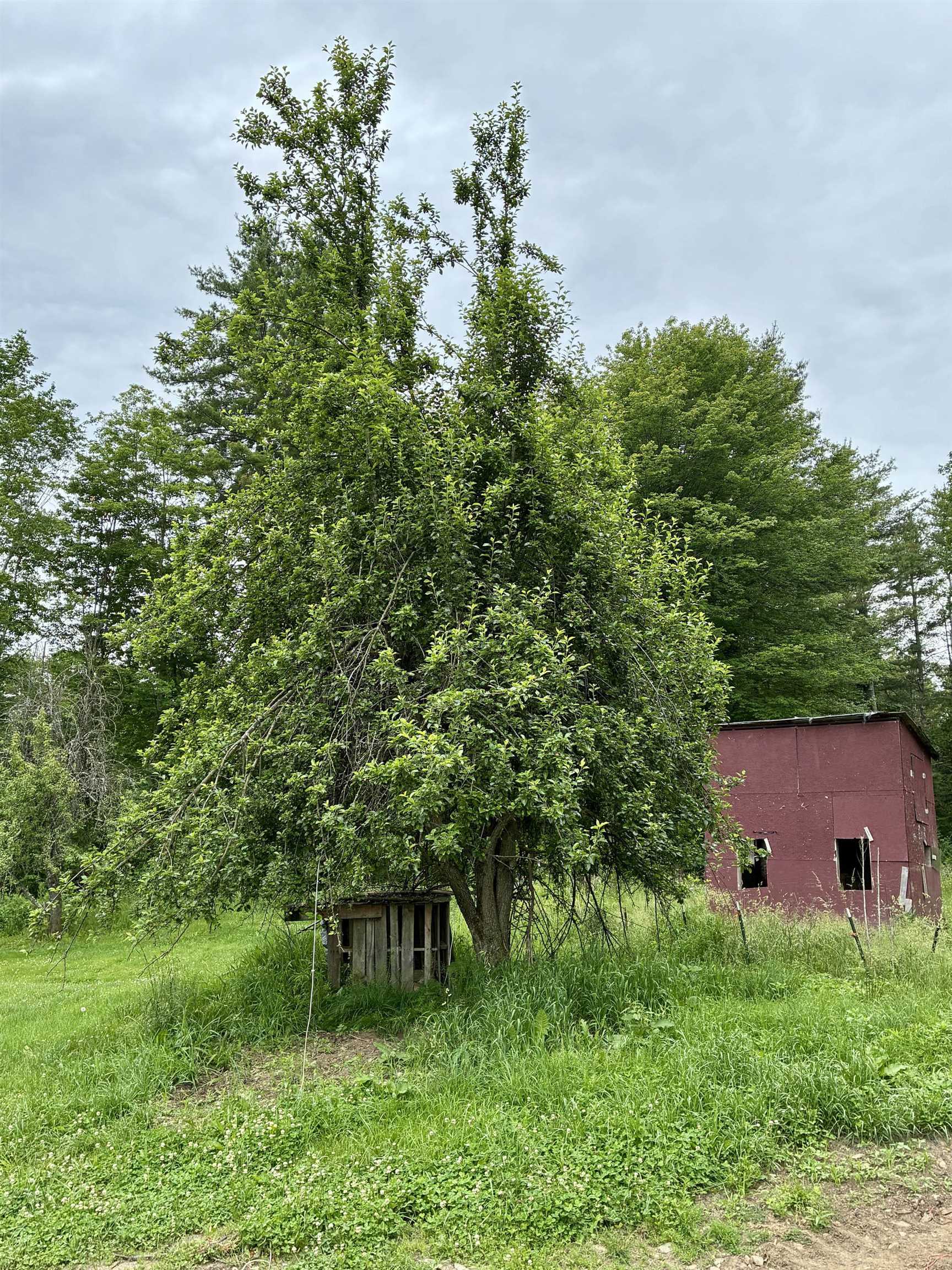 main property photo 8