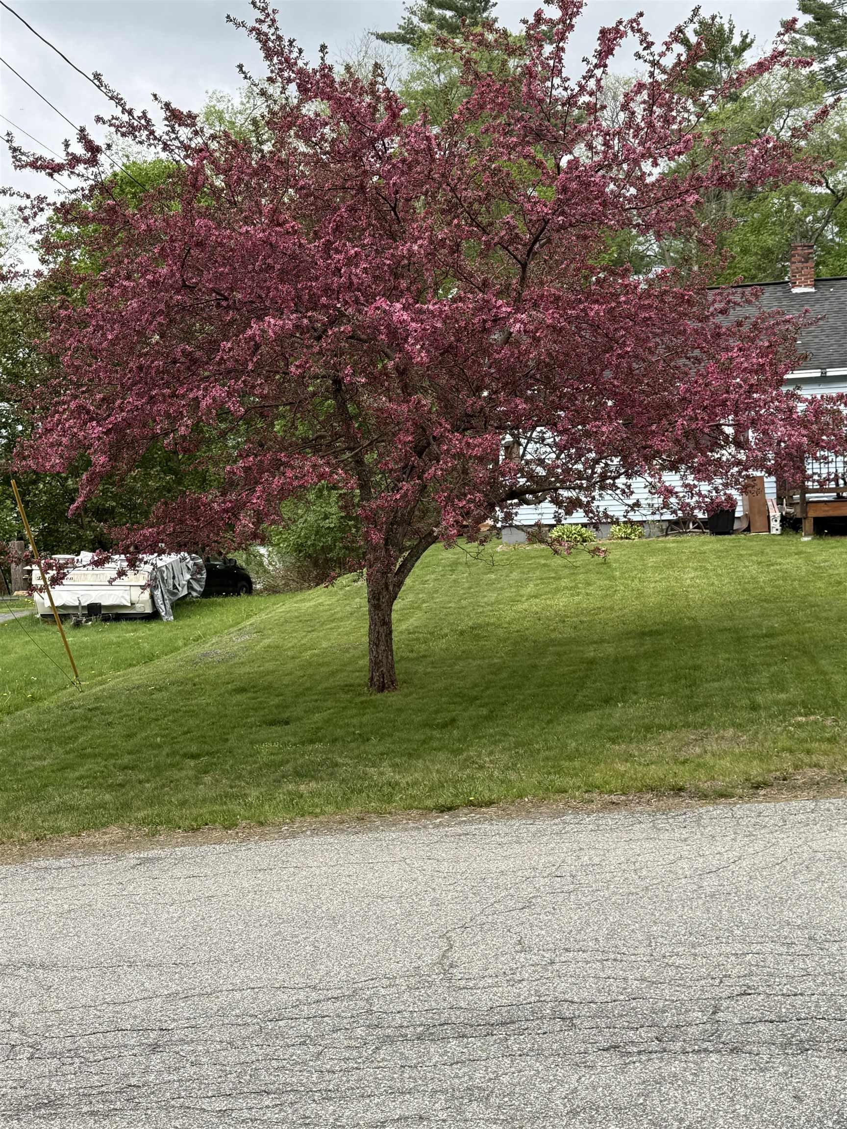 main property photo 37