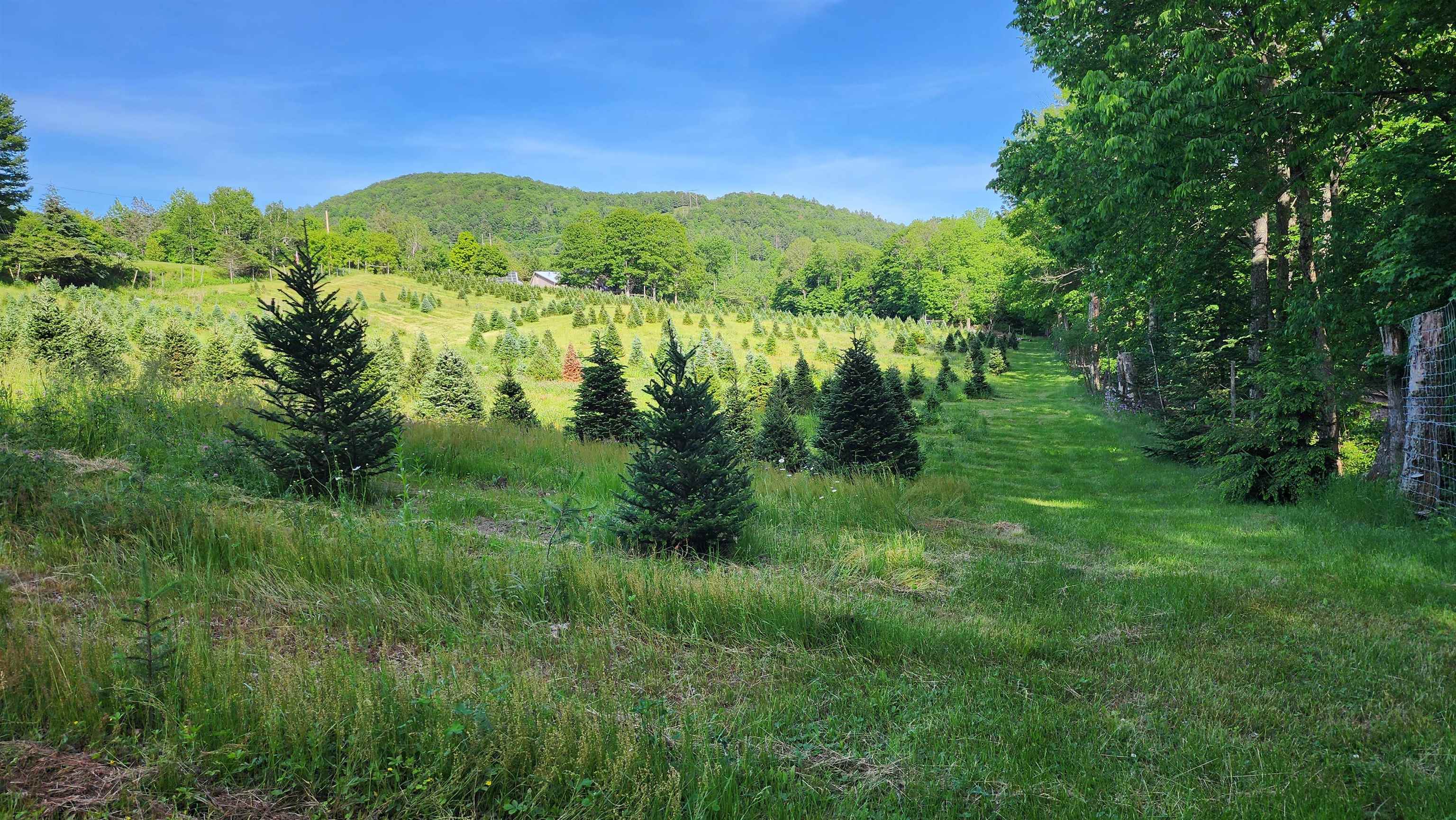 main property photo 51
