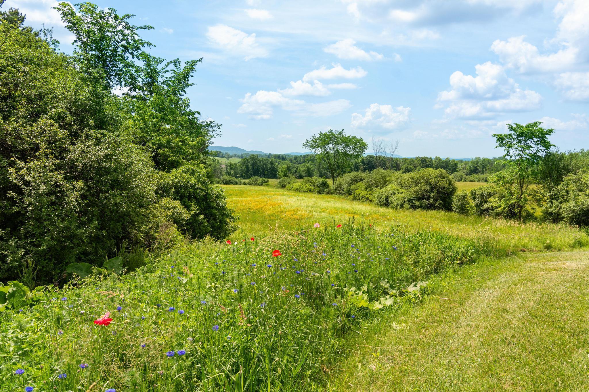 main property photo 56