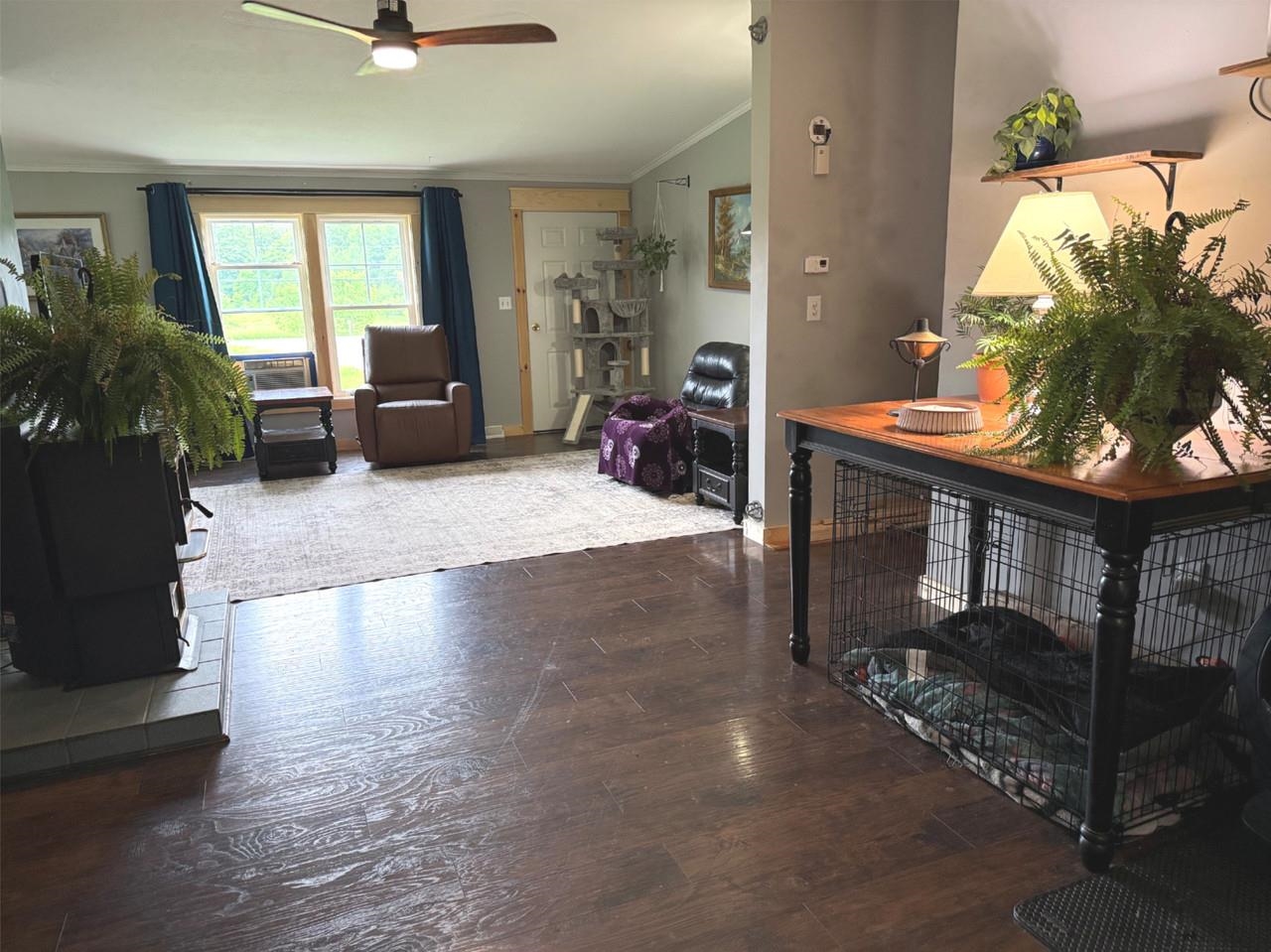 main property photo 10