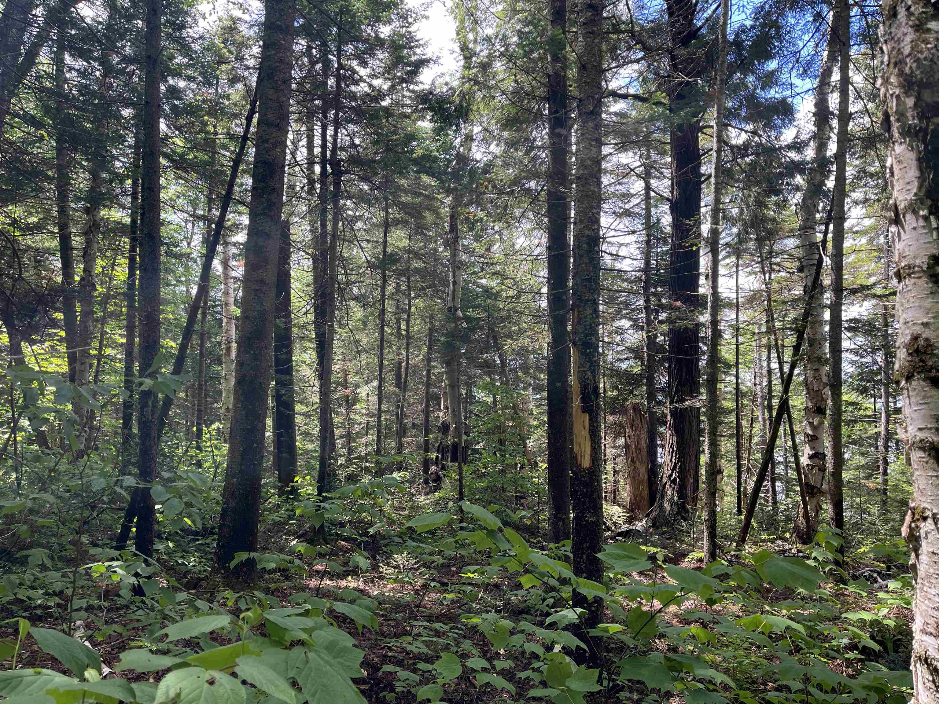 main property photo 24