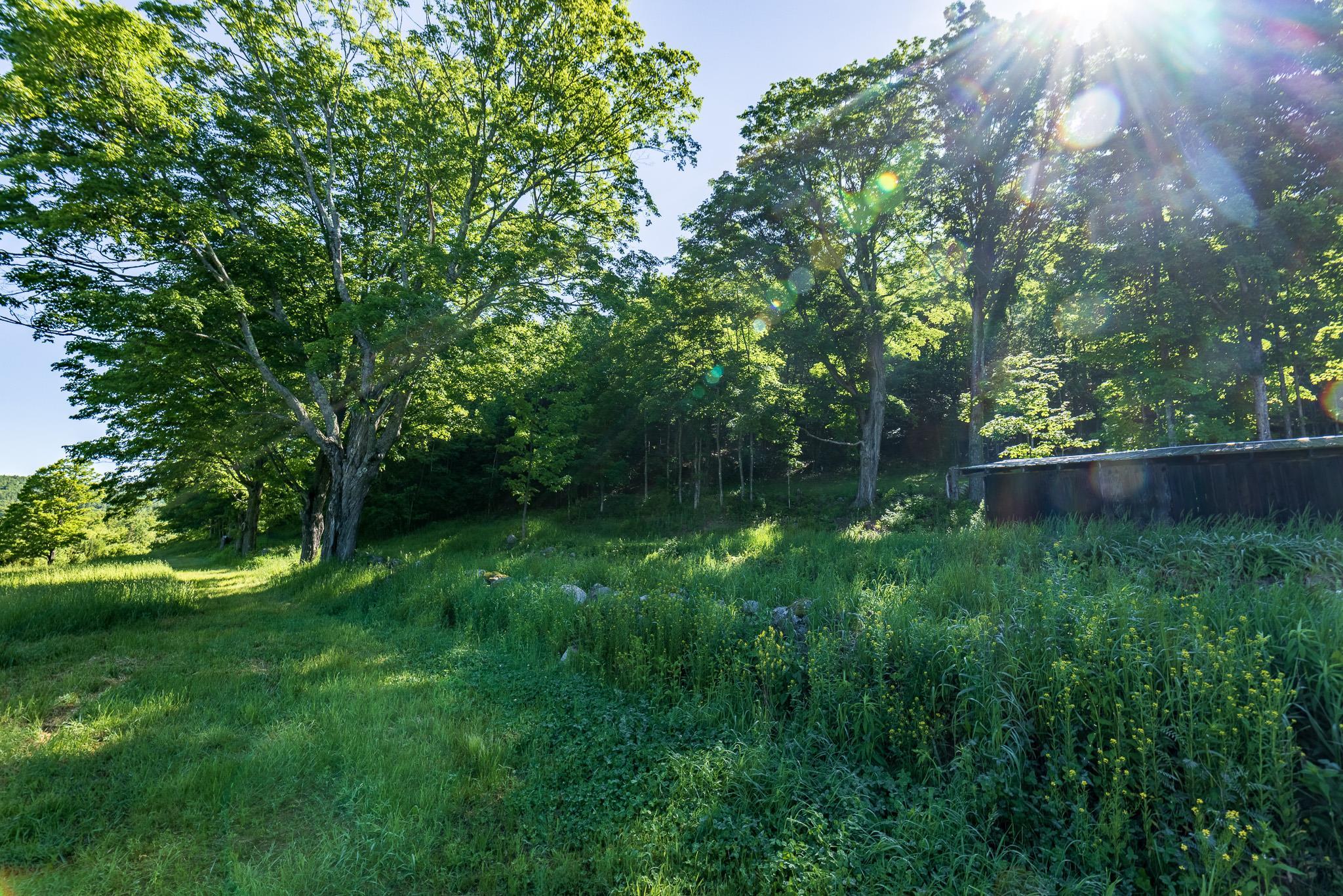 main property photo 22