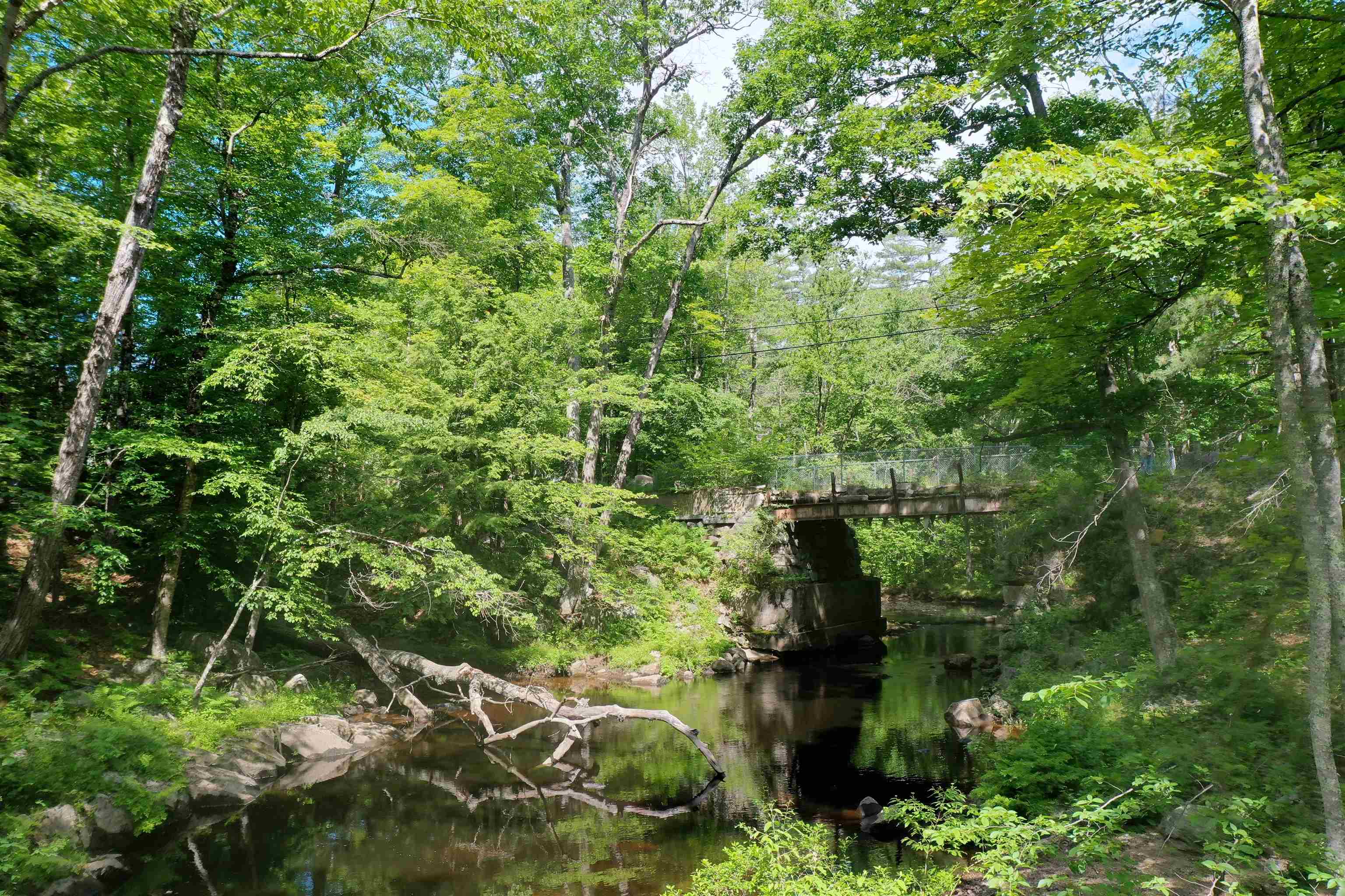 main property photo 35