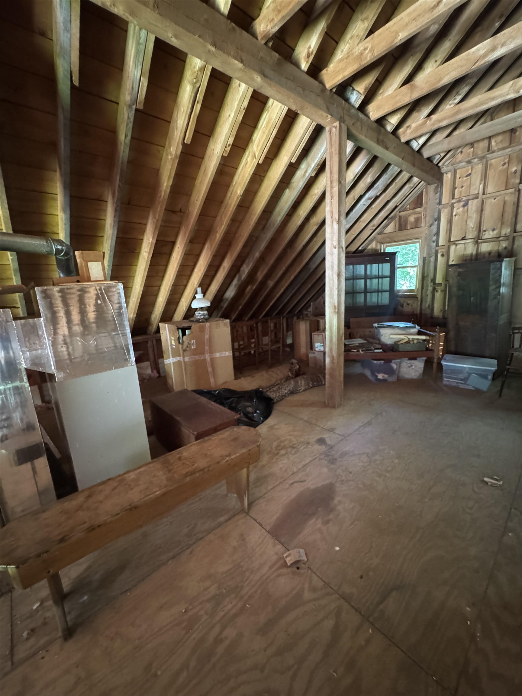 main property photo 54