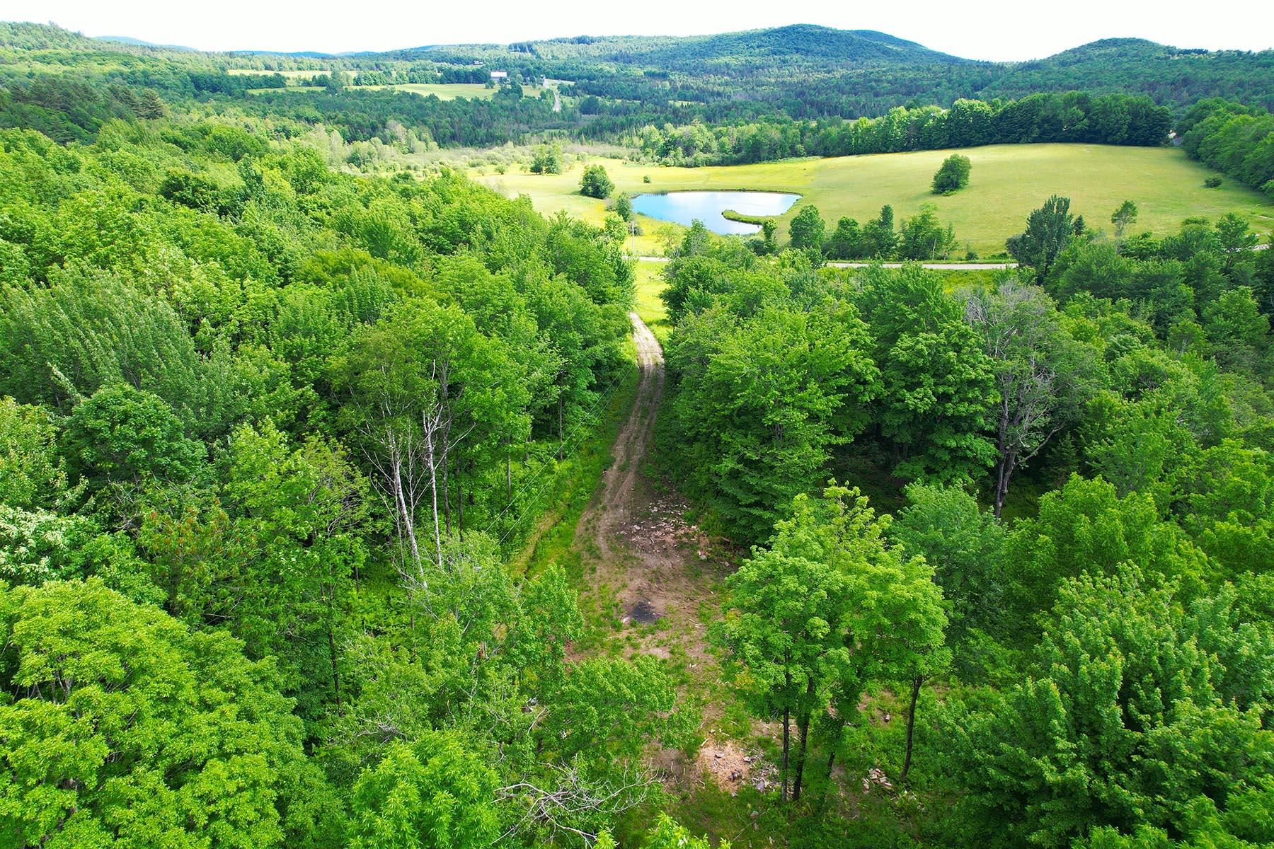 main property photo 14