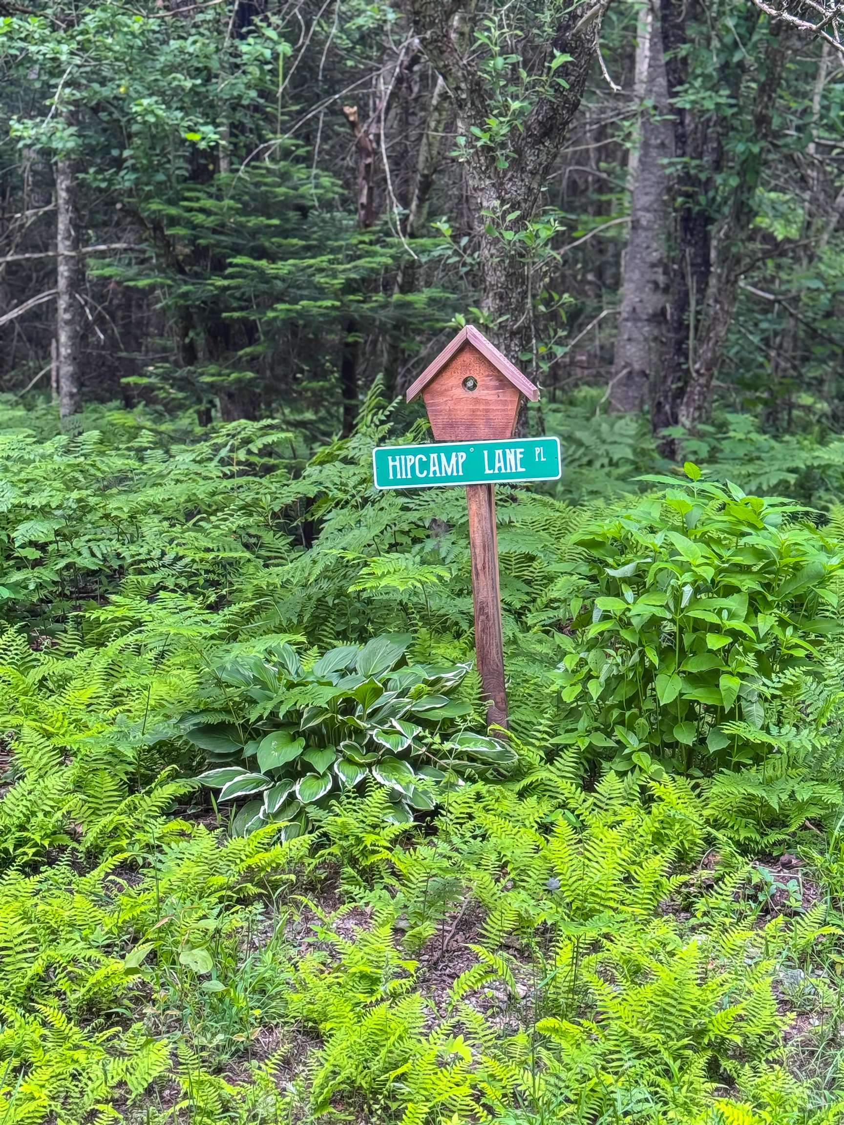 main property photo 7