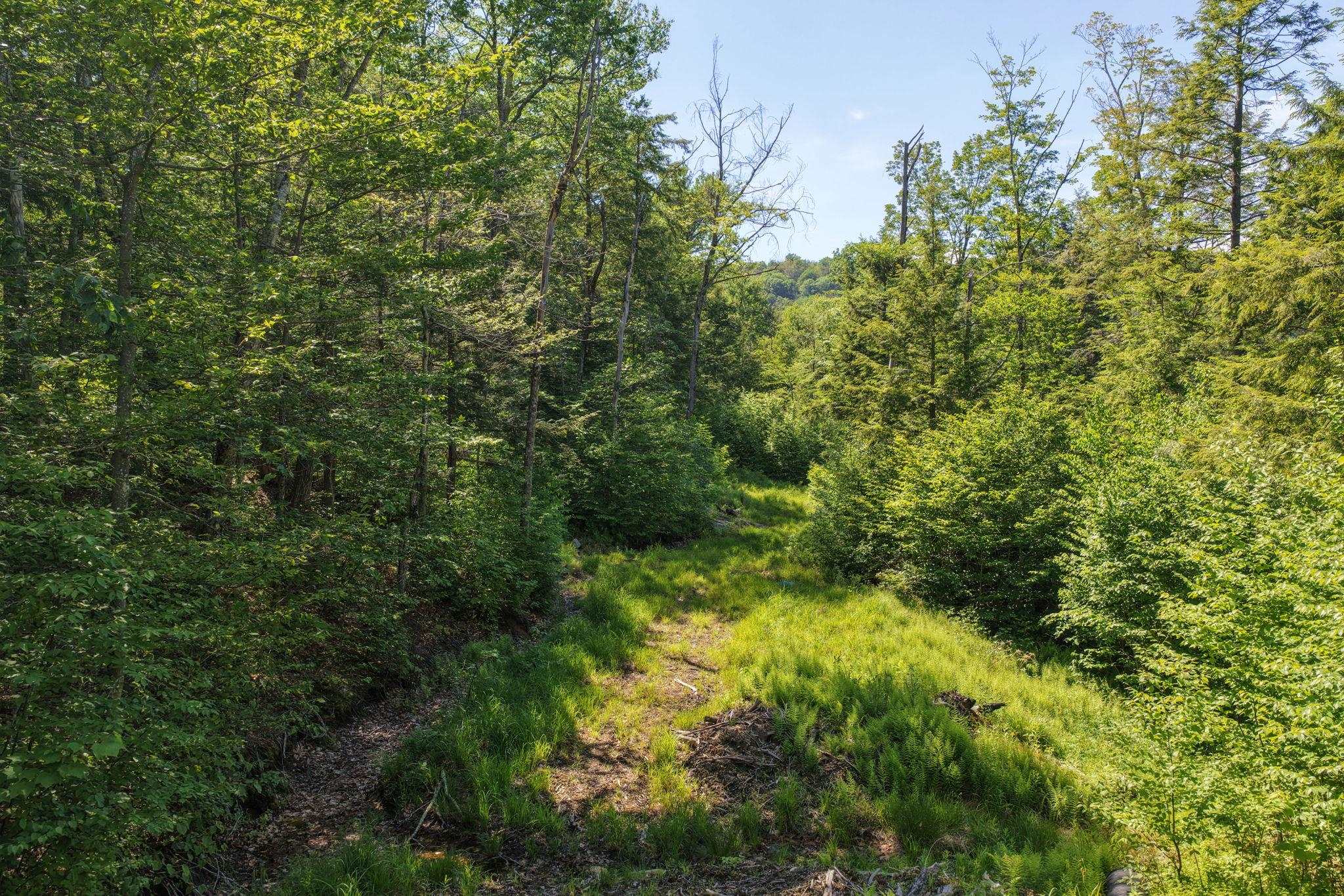 main property photo 7