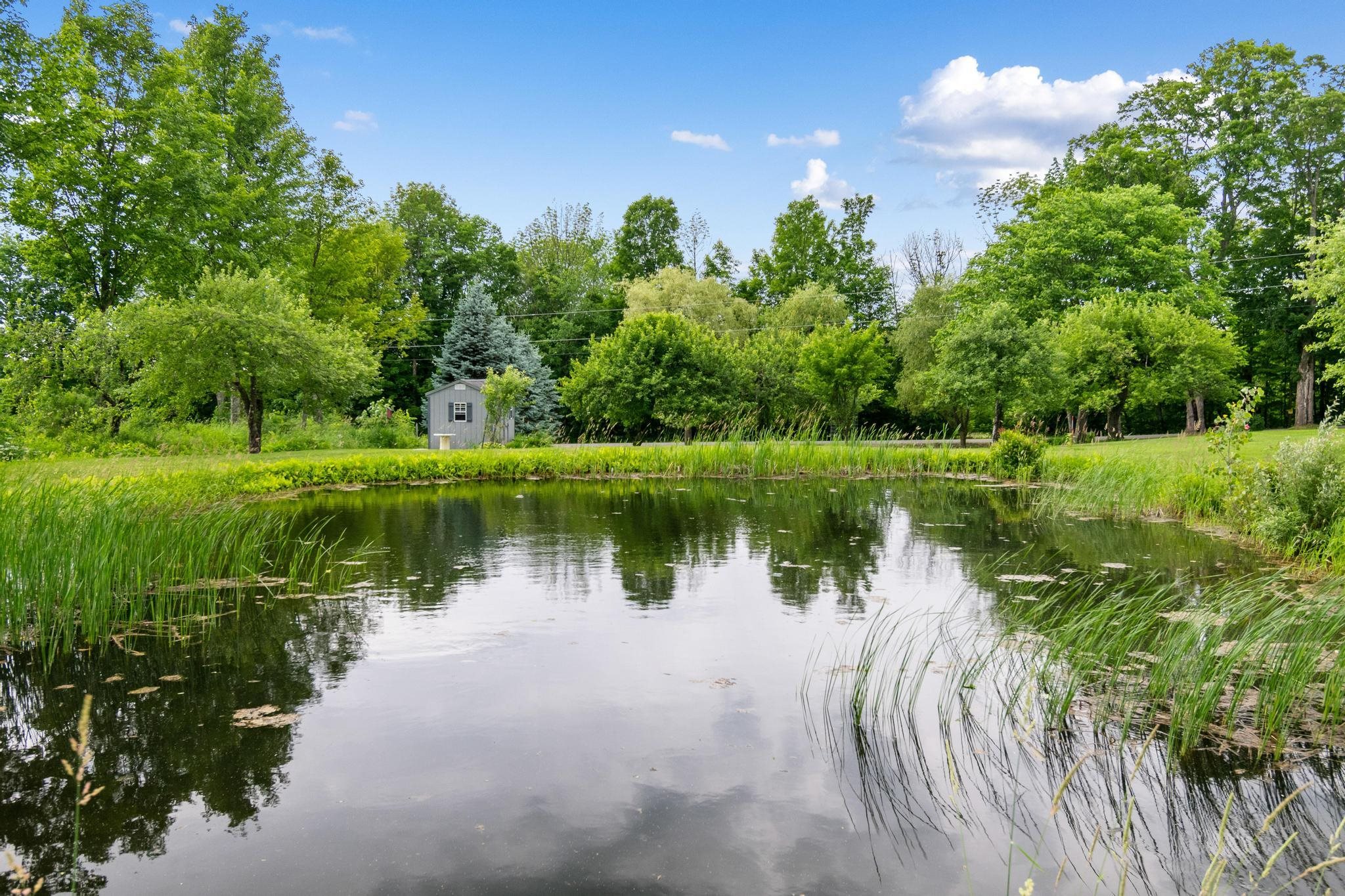 main property photo 51