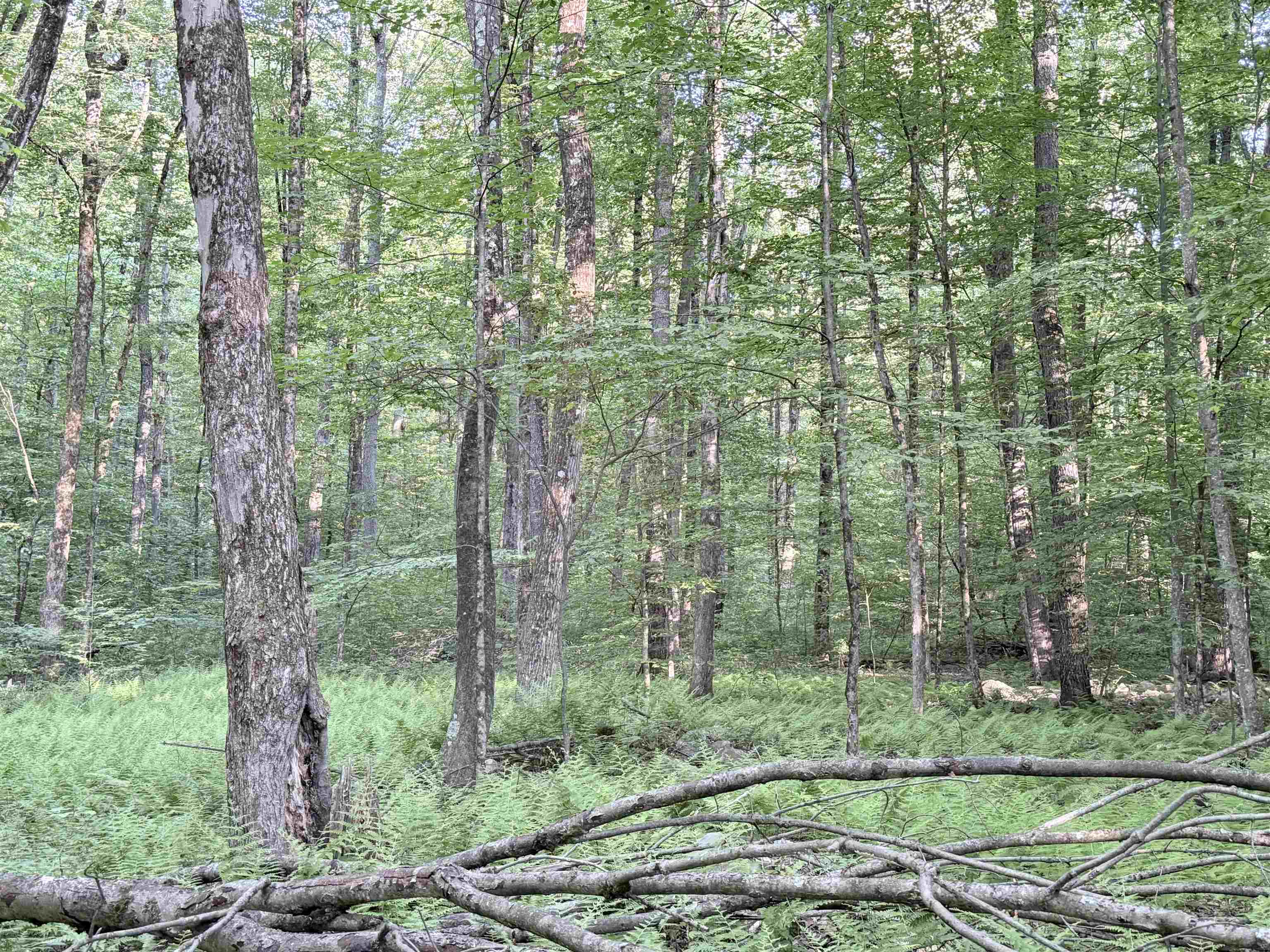 main property photo 49