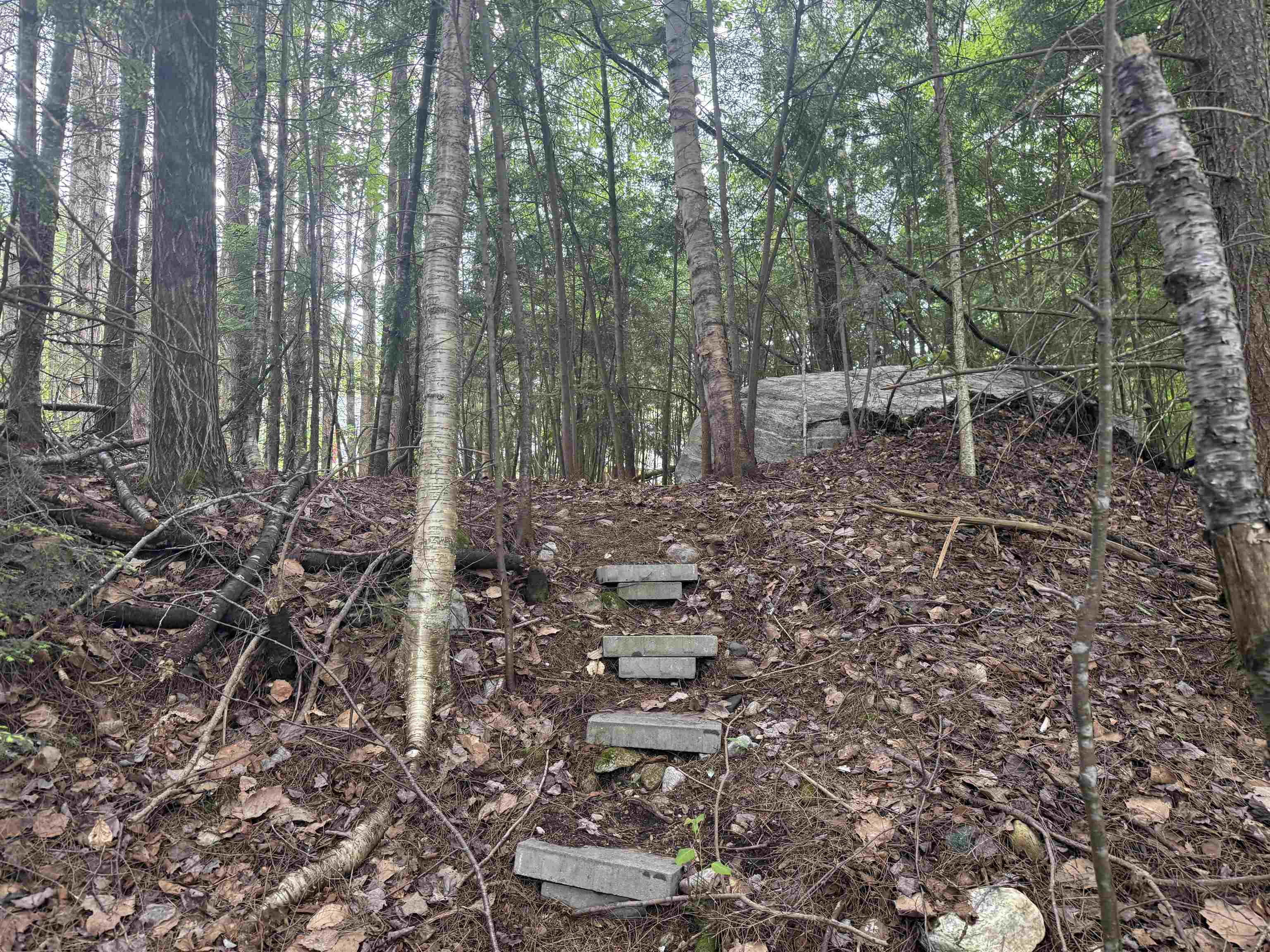 main property photo 43