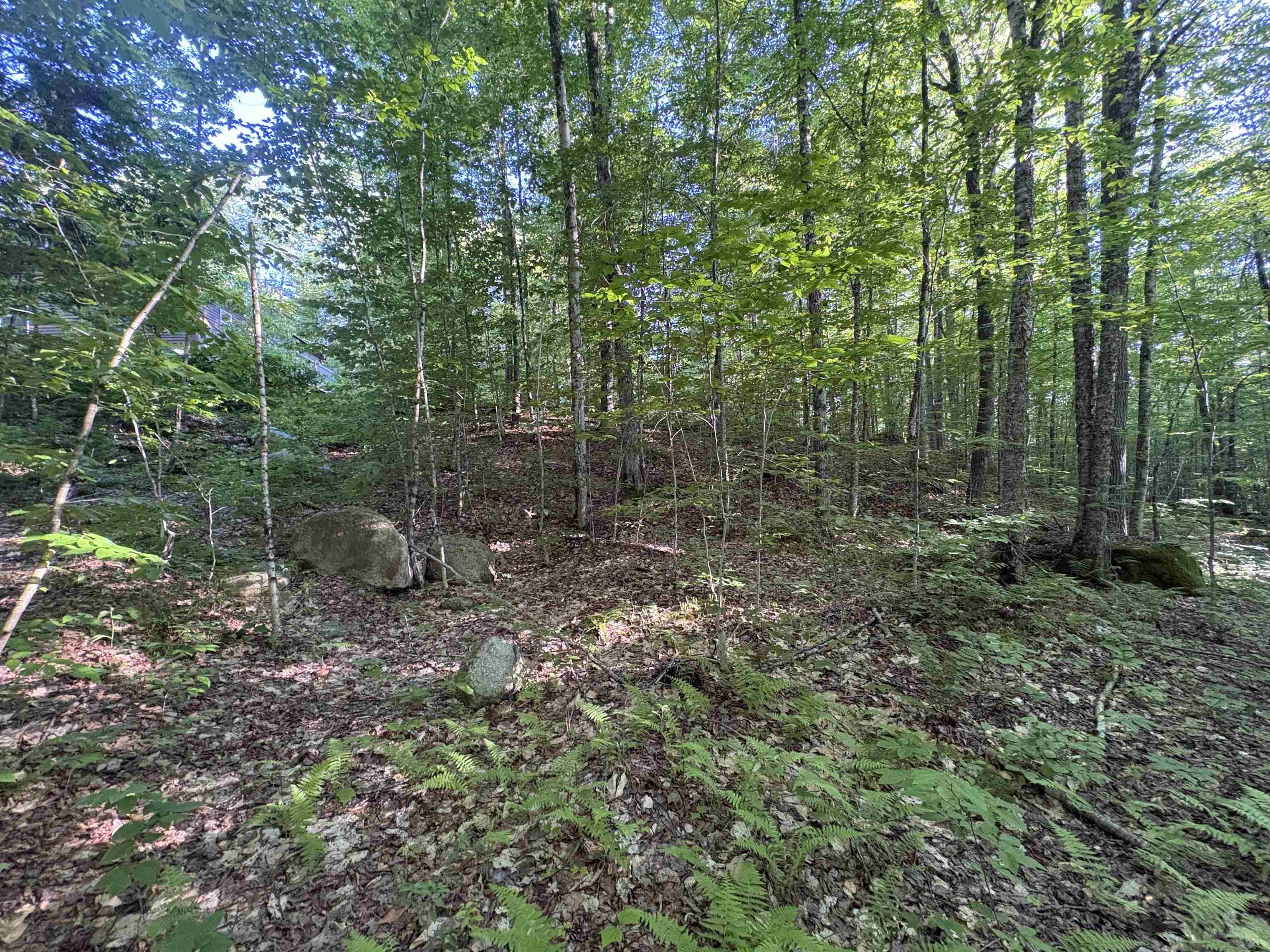 main property photo 39