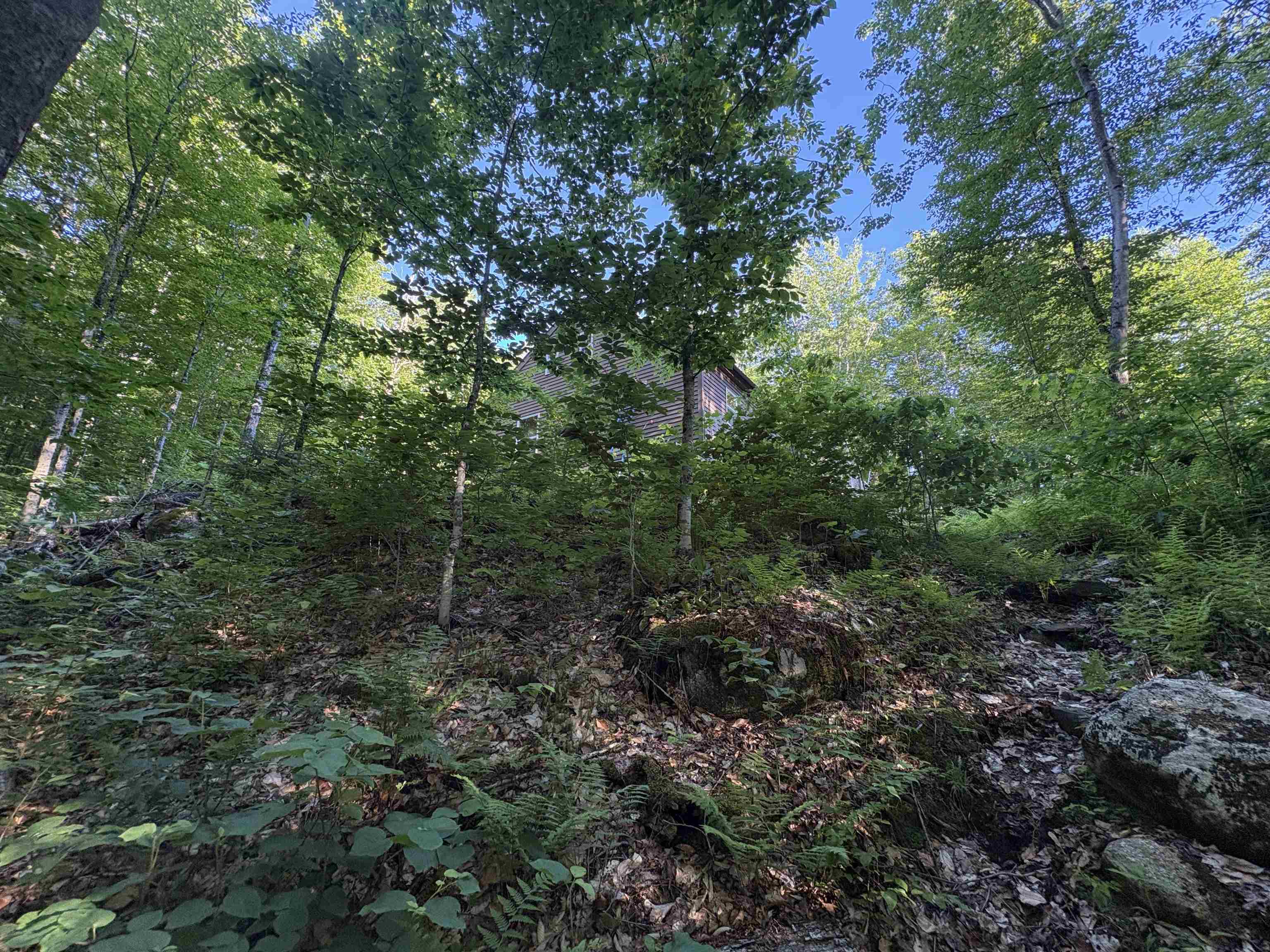 main property photo 40