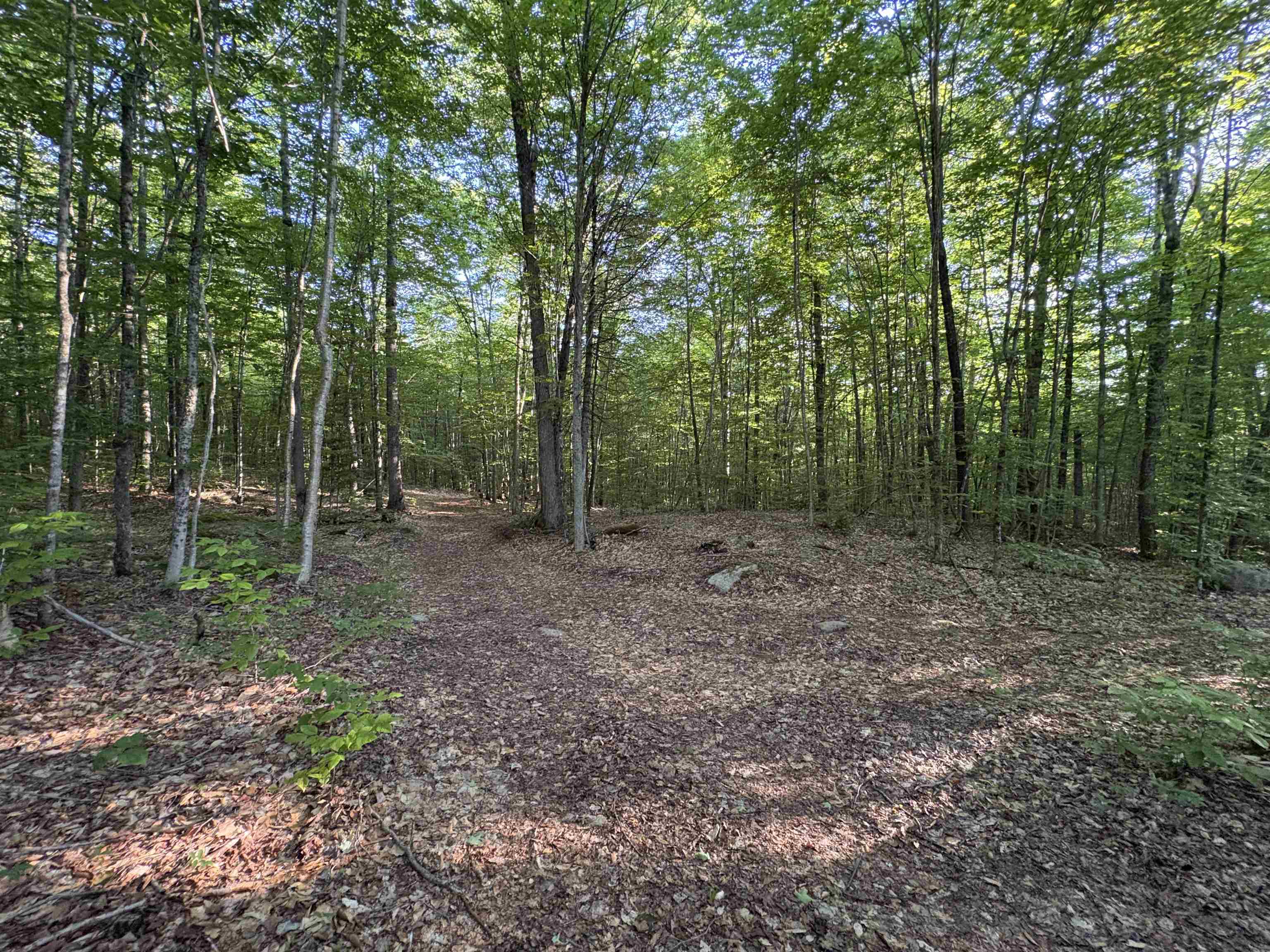 main property photo 46