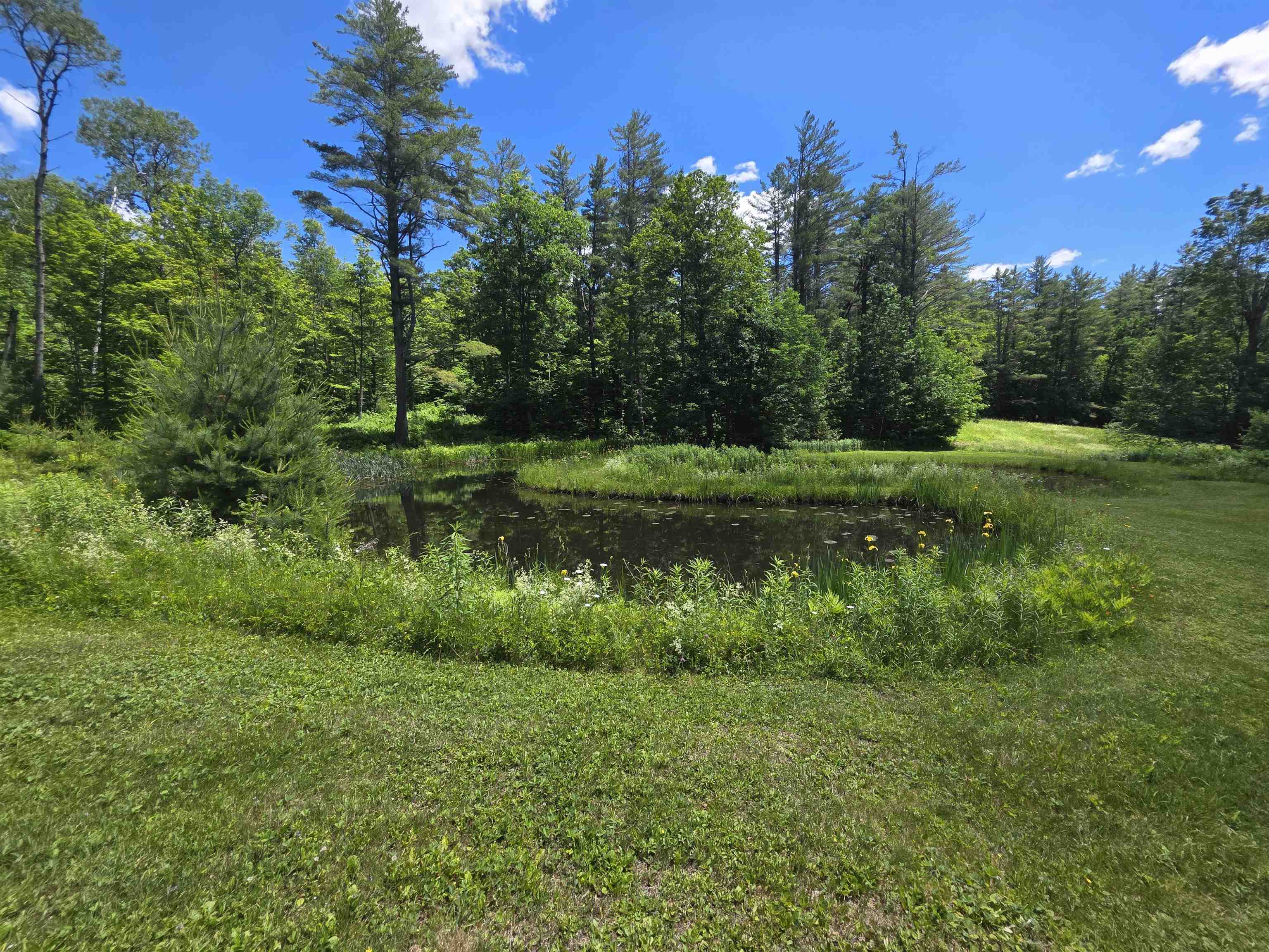 main property photo 39