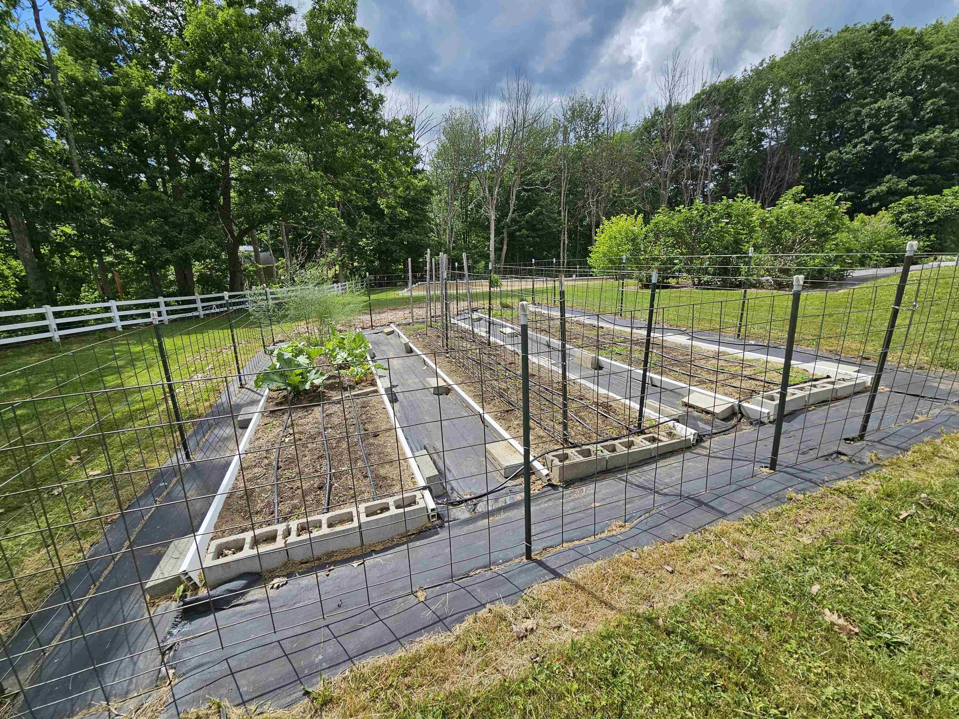 main property photo 46