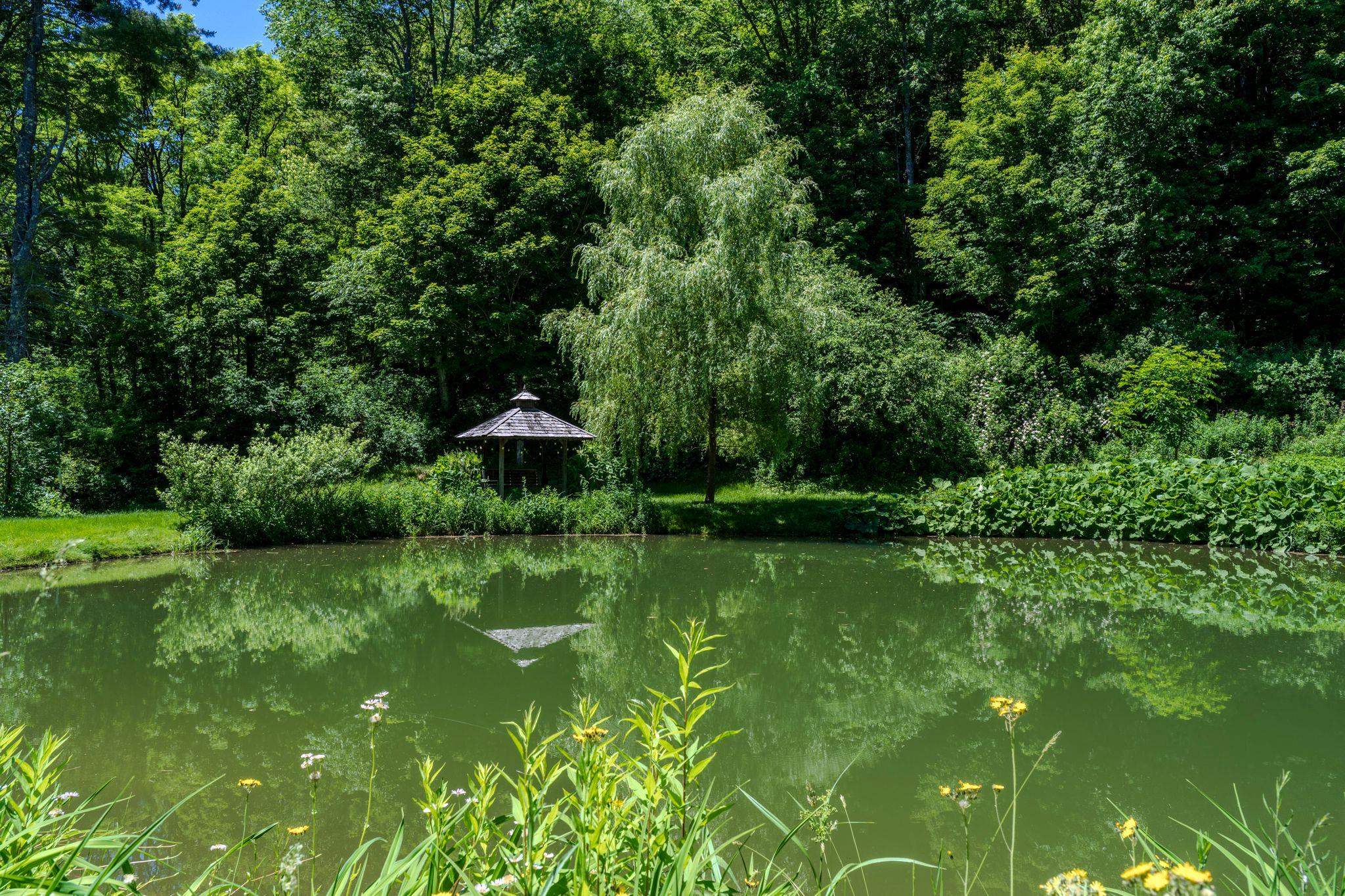 main property photo 46