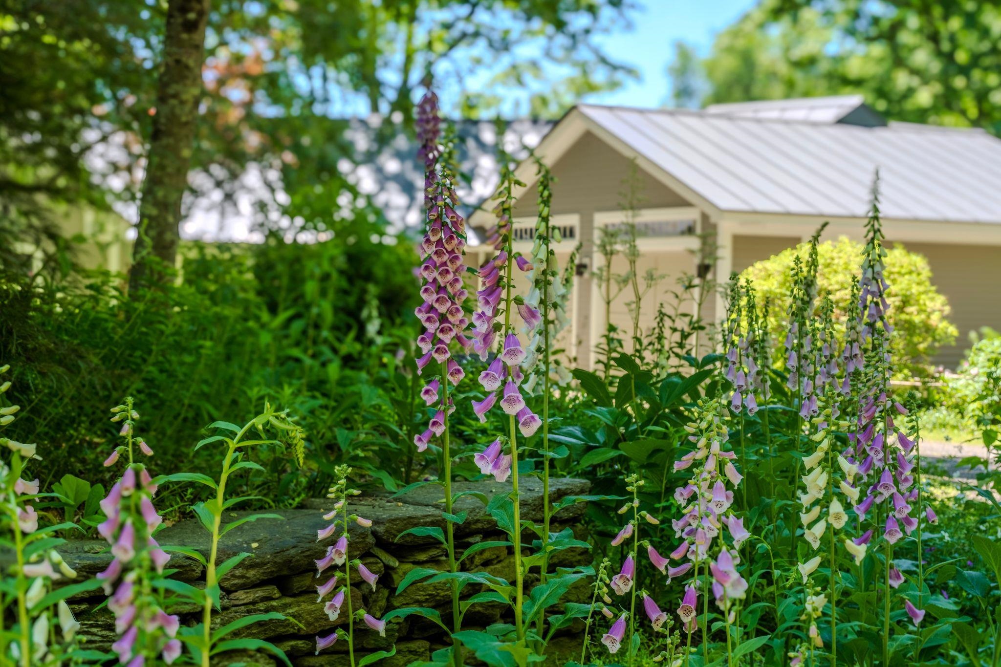 main property photo 54
