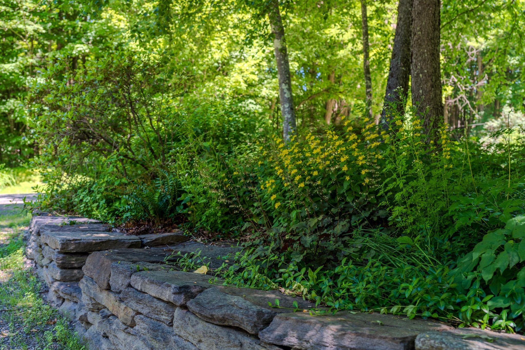 main property photo 57