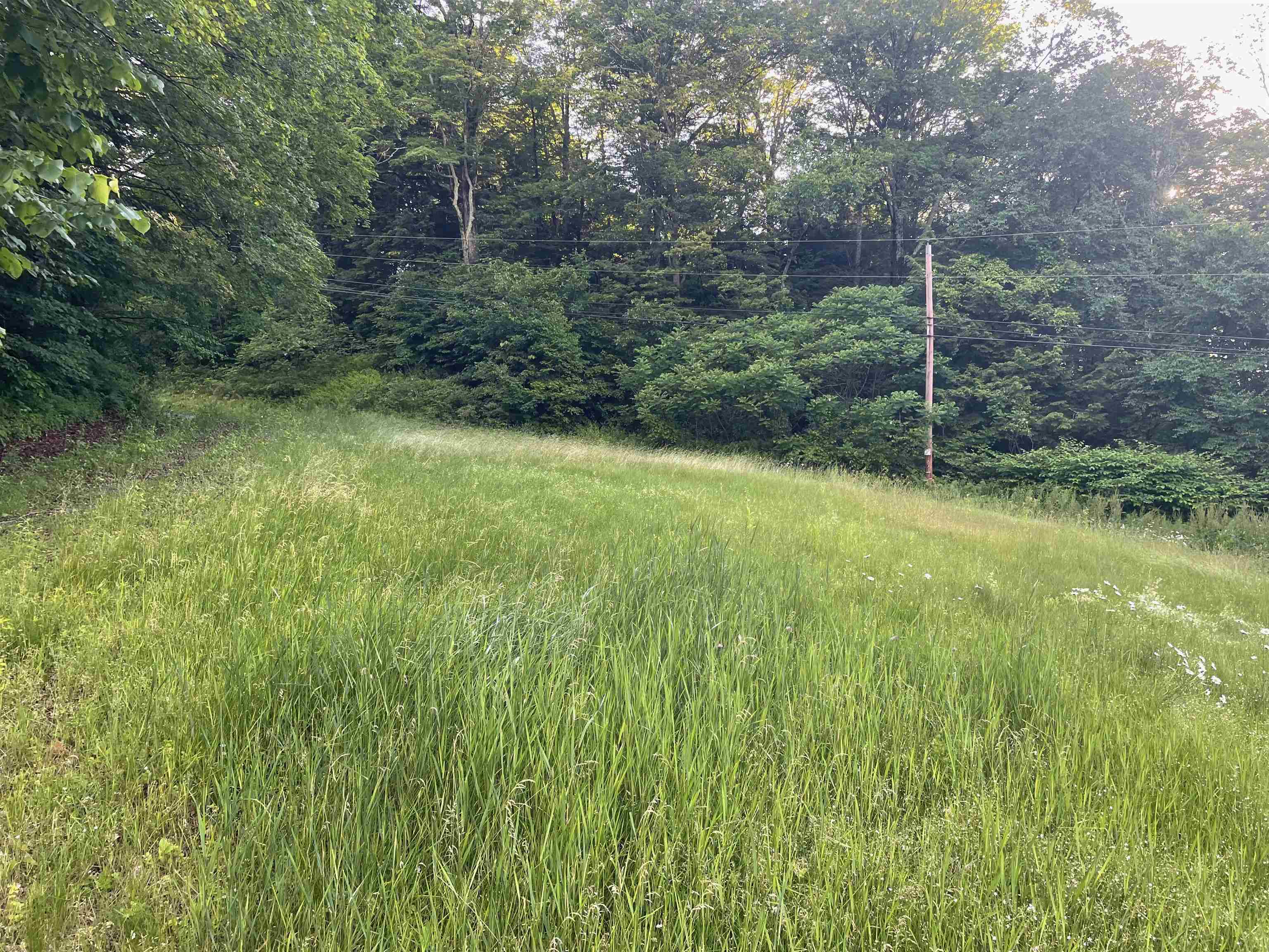 main property photo 56