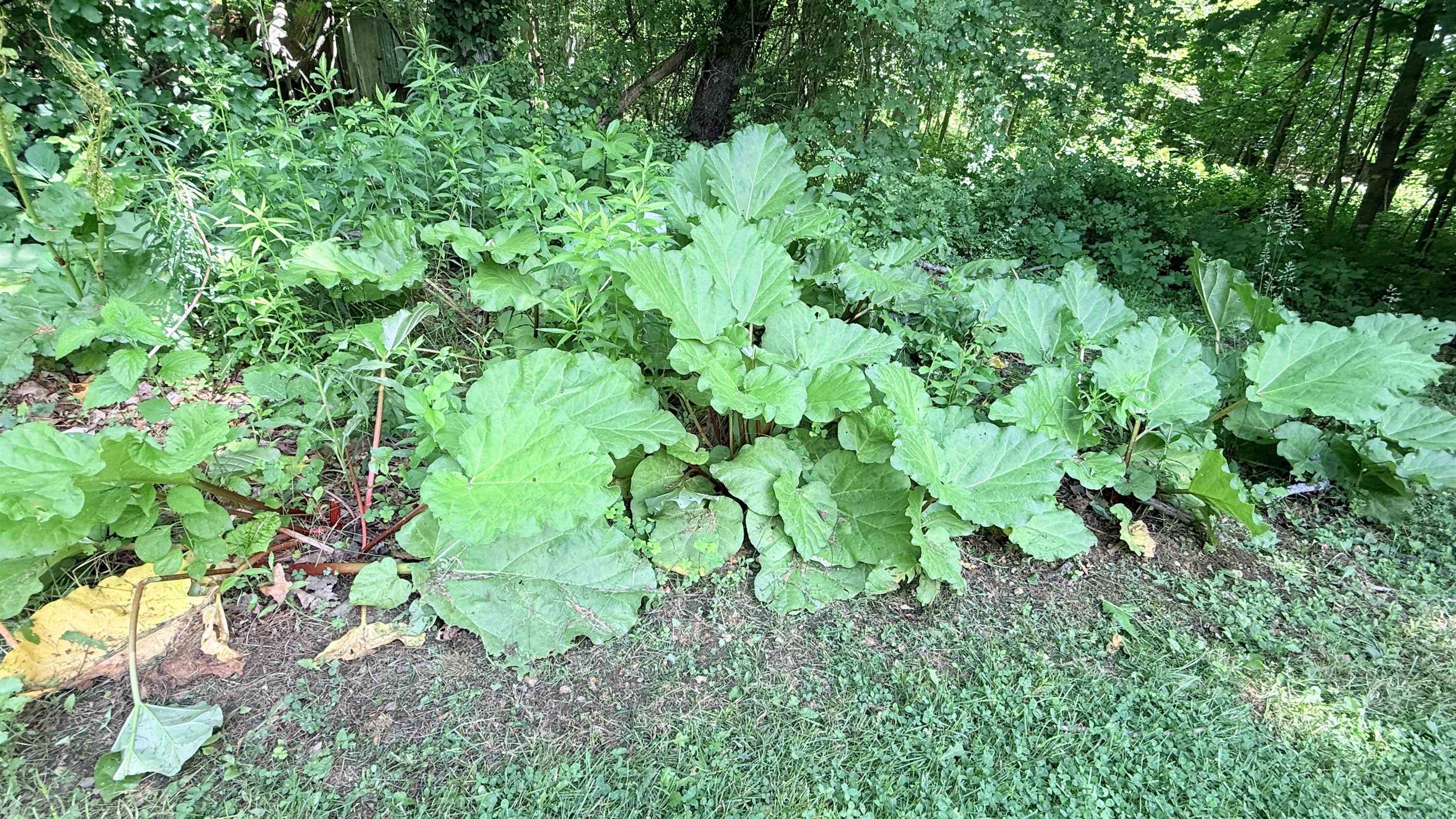 main property photo 48