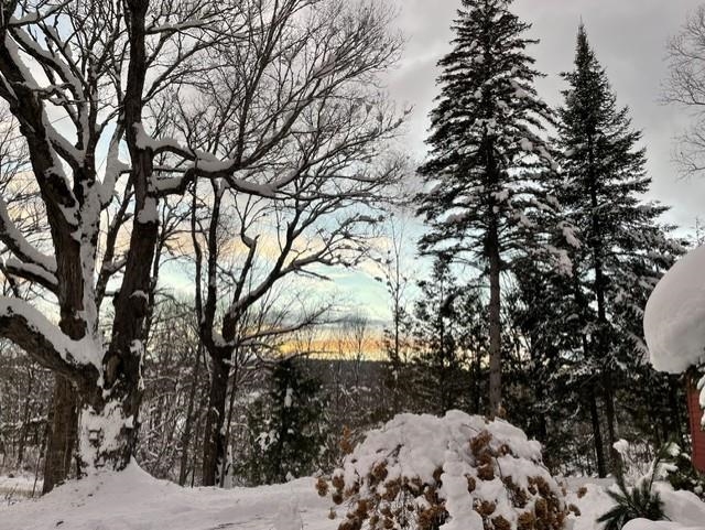 main property photo 56